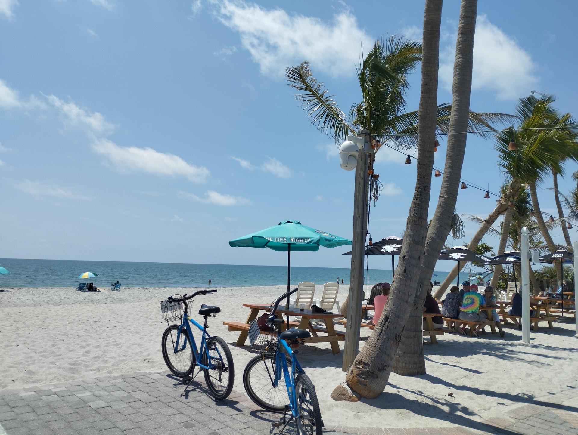 Bicycles on a sunny beach with palm trees, umbrellas, and distant ocean.