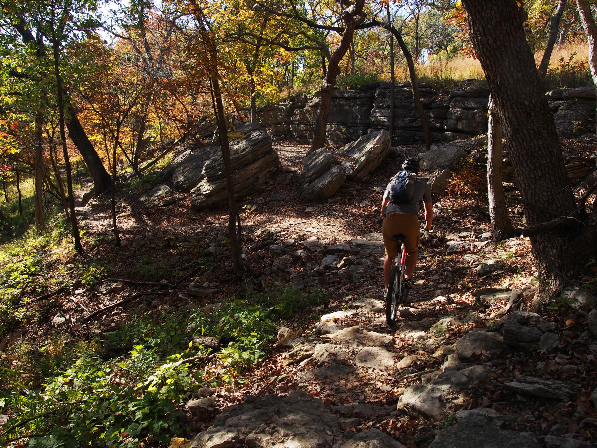 A person mountain biking on a rocky, sun-dappled autumn trail.