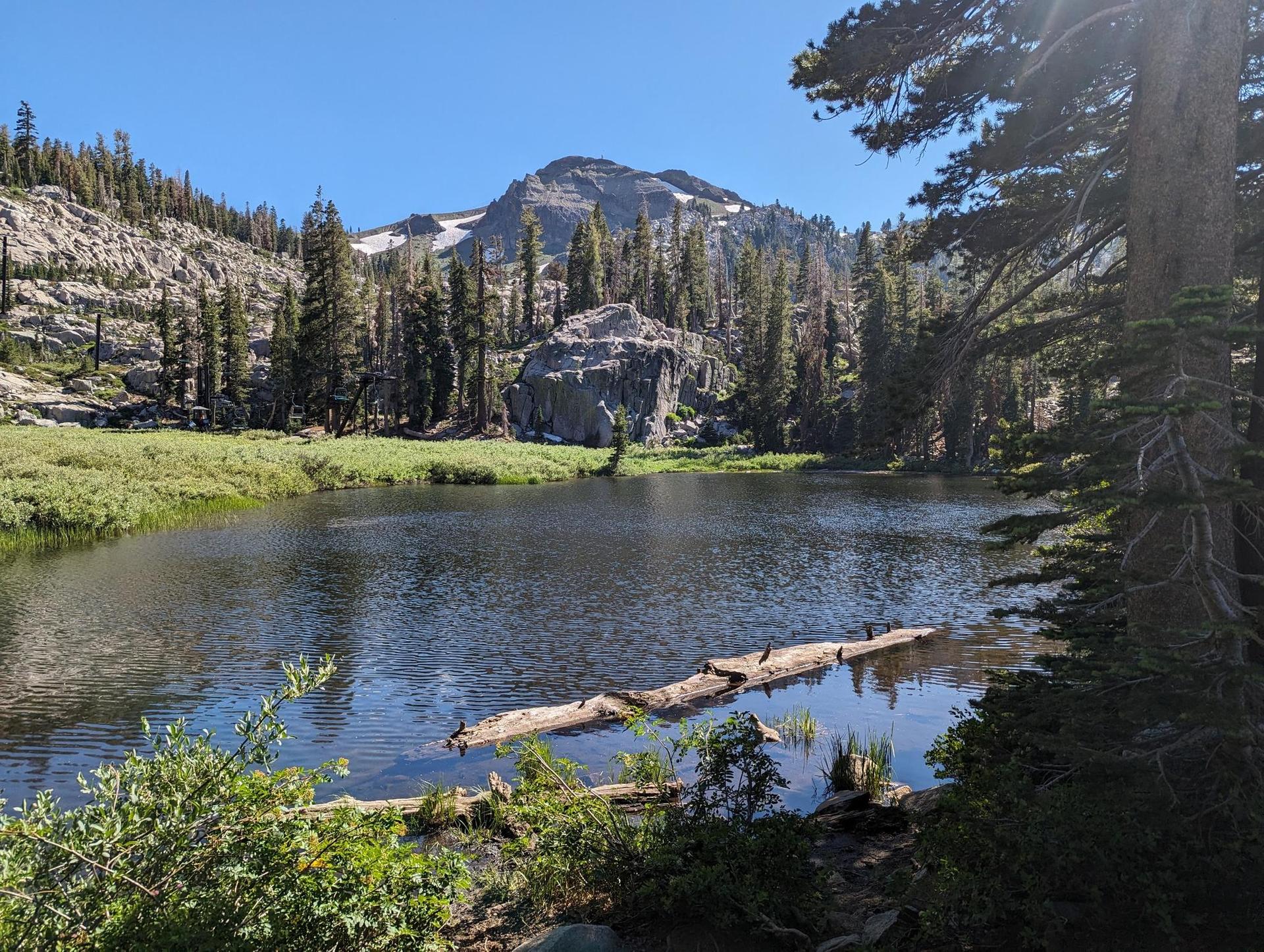 Serene mountain lake with a log, surrounded by trees and peaks.