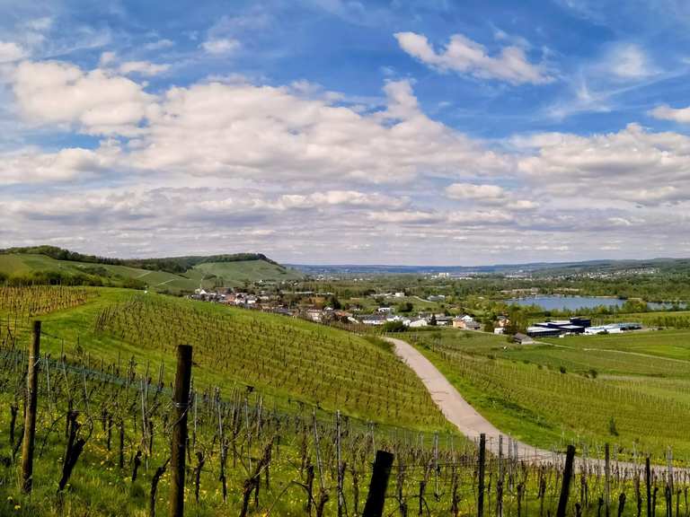 Boucle Vue sur les étangs de Remerschen – Vue sur les vignobles de la ...