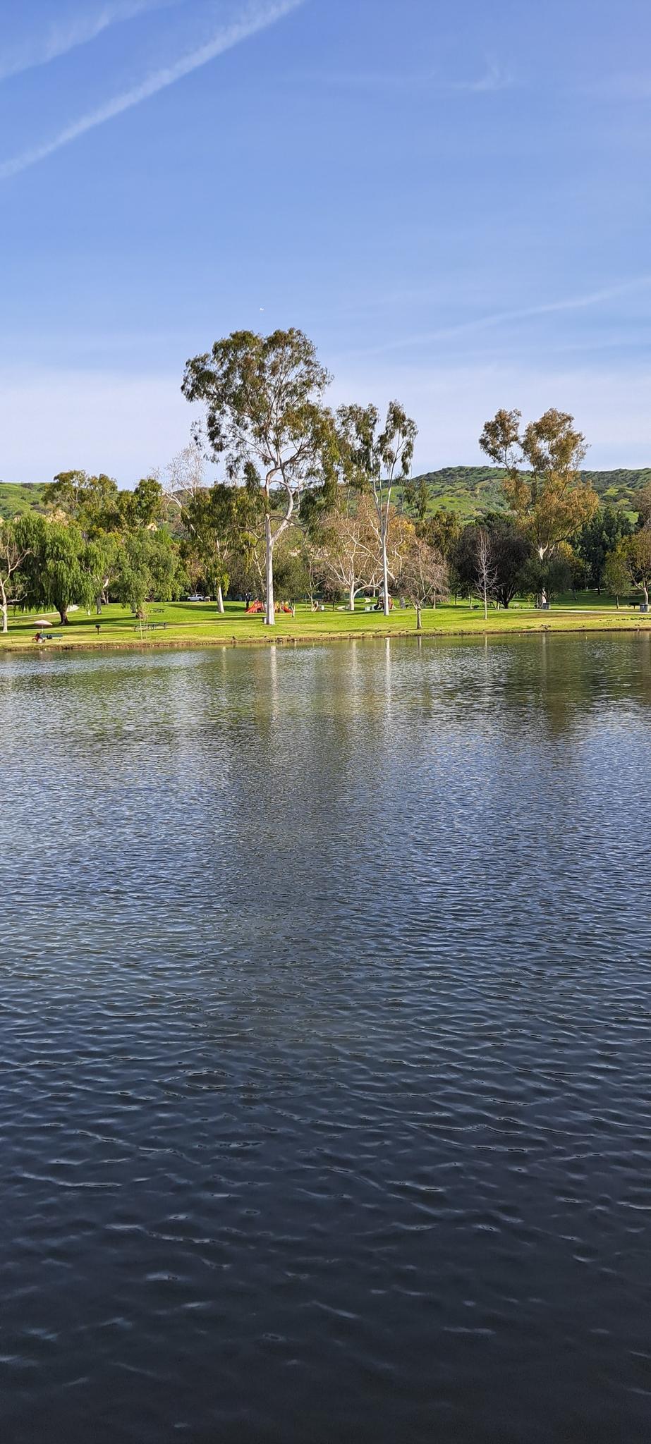 A calm lake reflects trees and a blue sky, with green hills in background.