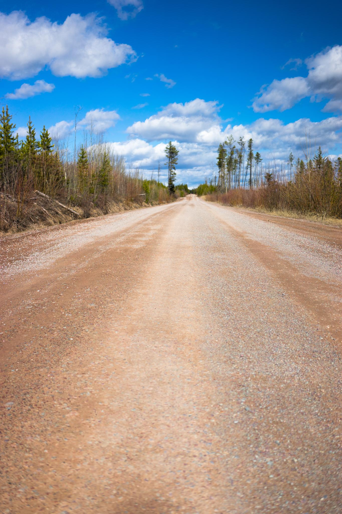 Long, empty dirt road stretching into the distance under a bright blue sky.