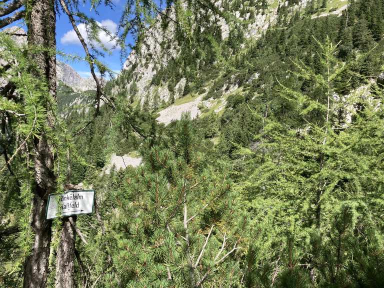 Marco Polo Tower Wanderungen Und Rundwege Komoot