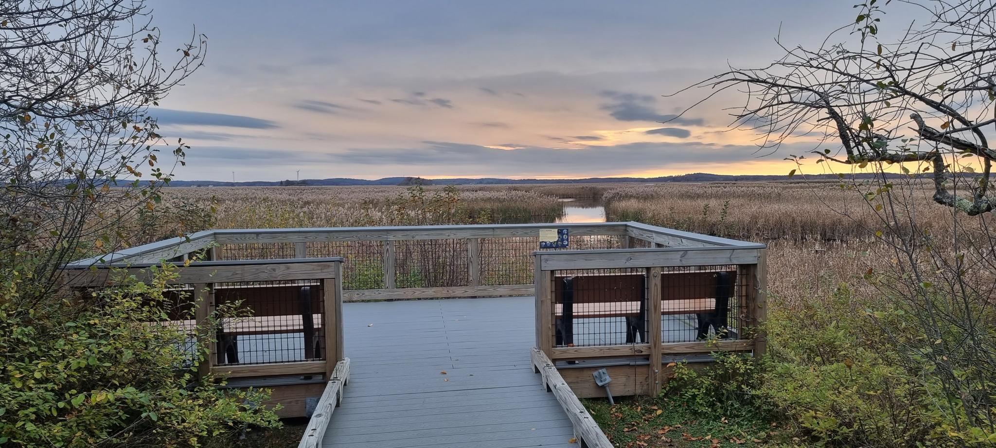 A wooden observation deck overlooks a vast marshland at sunset under a cloudy sky.