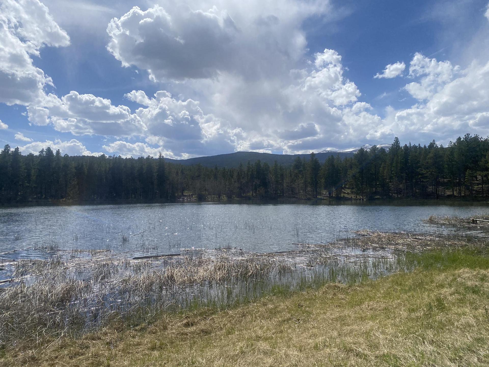 A calm lake with a forest and mountains under a bright, cloudy sky.