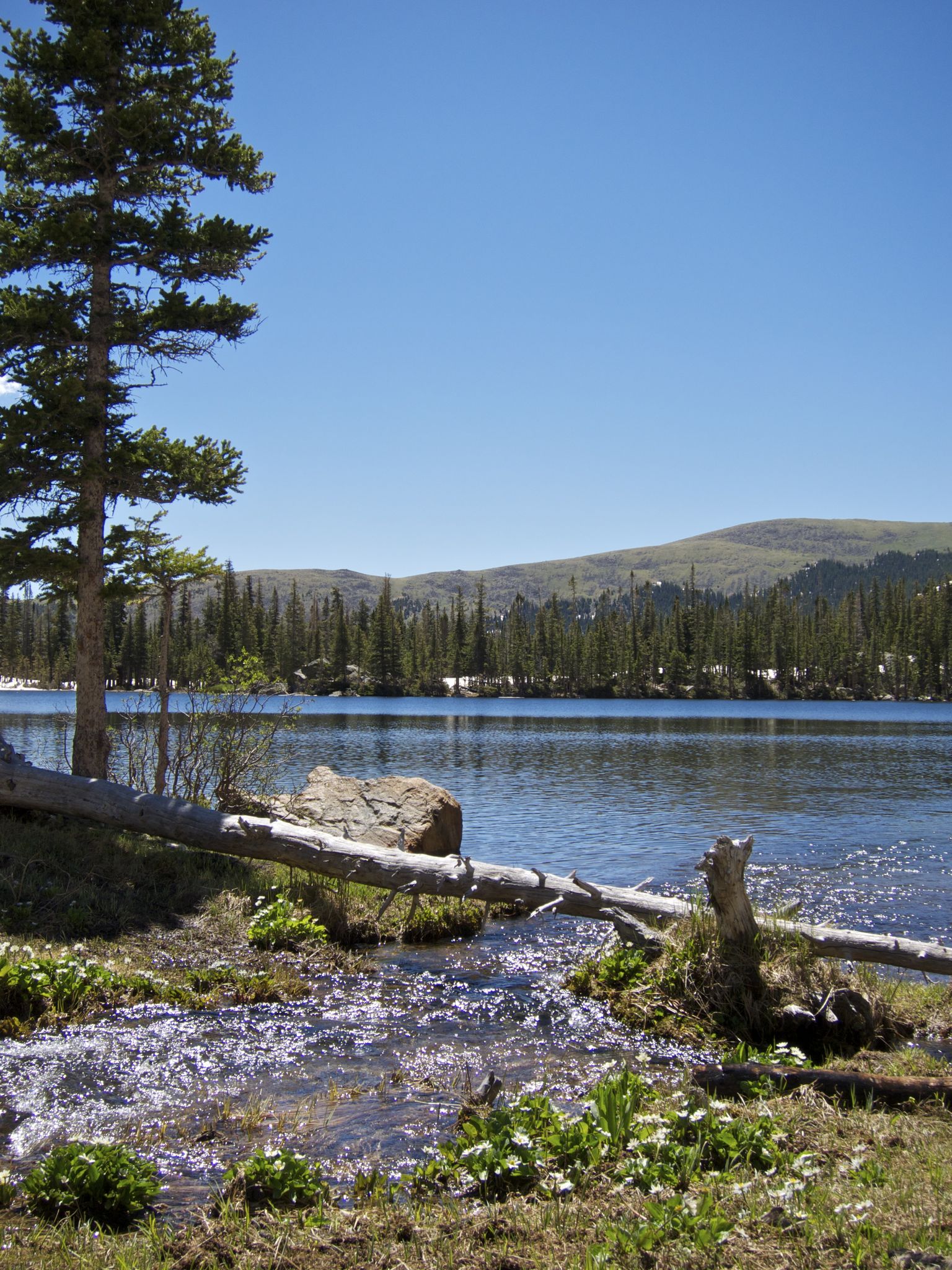 A clear lake with a stream, pine trees, and distant mountains on a sunny day. - Crater Lakes via South Boulder Creek and Crater Lakes Trail