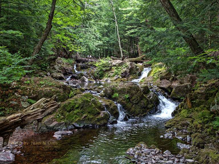Mirror Lake via Little Carp River & Summit Peak Trail loop — Ottawa ...