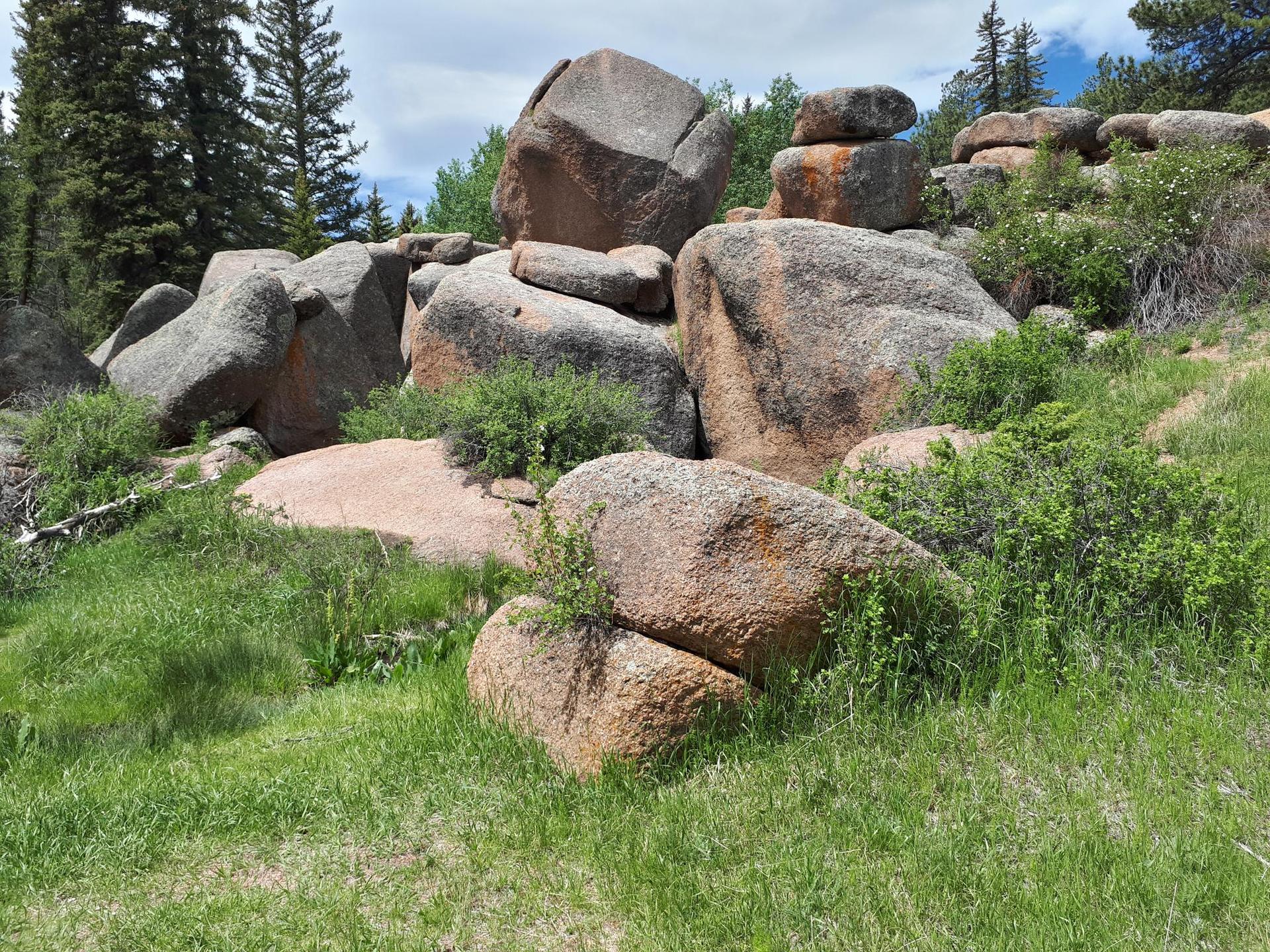 Large mossy boulders nestled among green grass and bushes under daylight.
