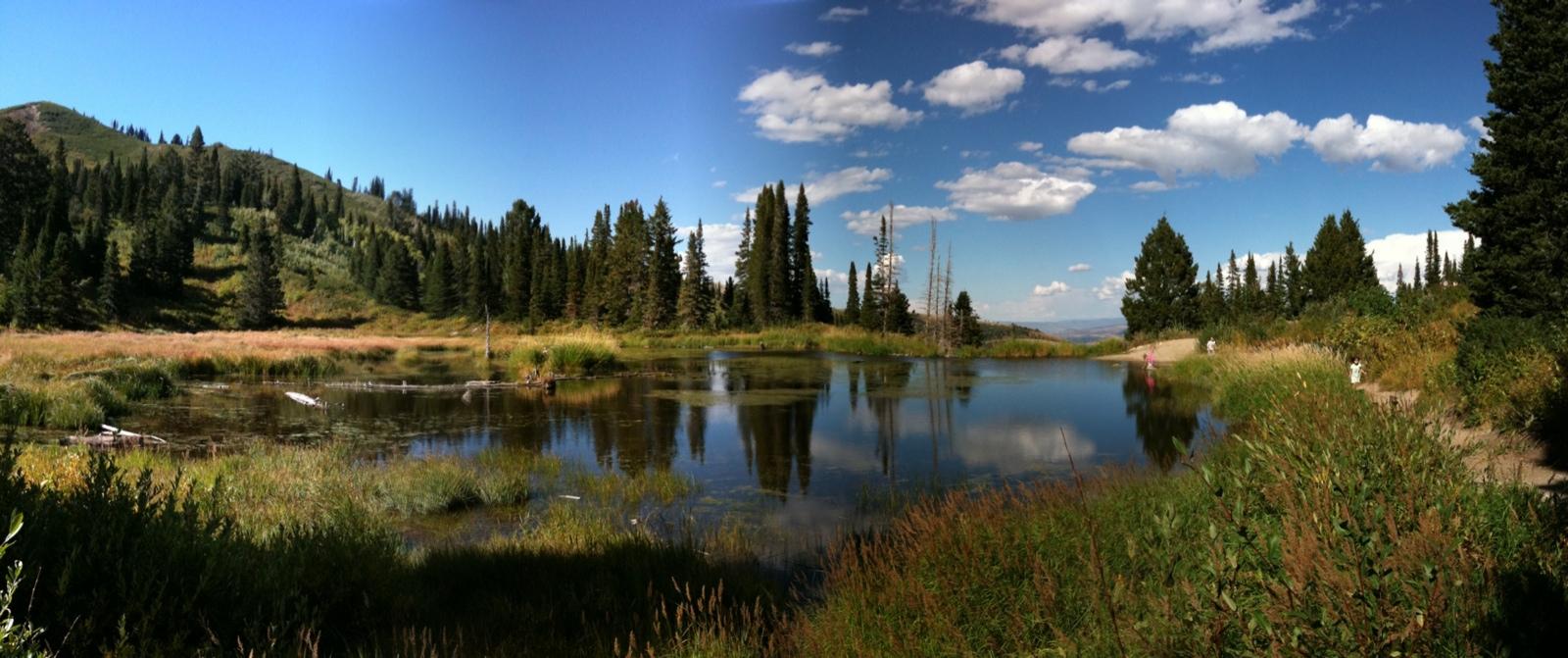 Serene lake reflecting pine trees and blue sky with white clouds.