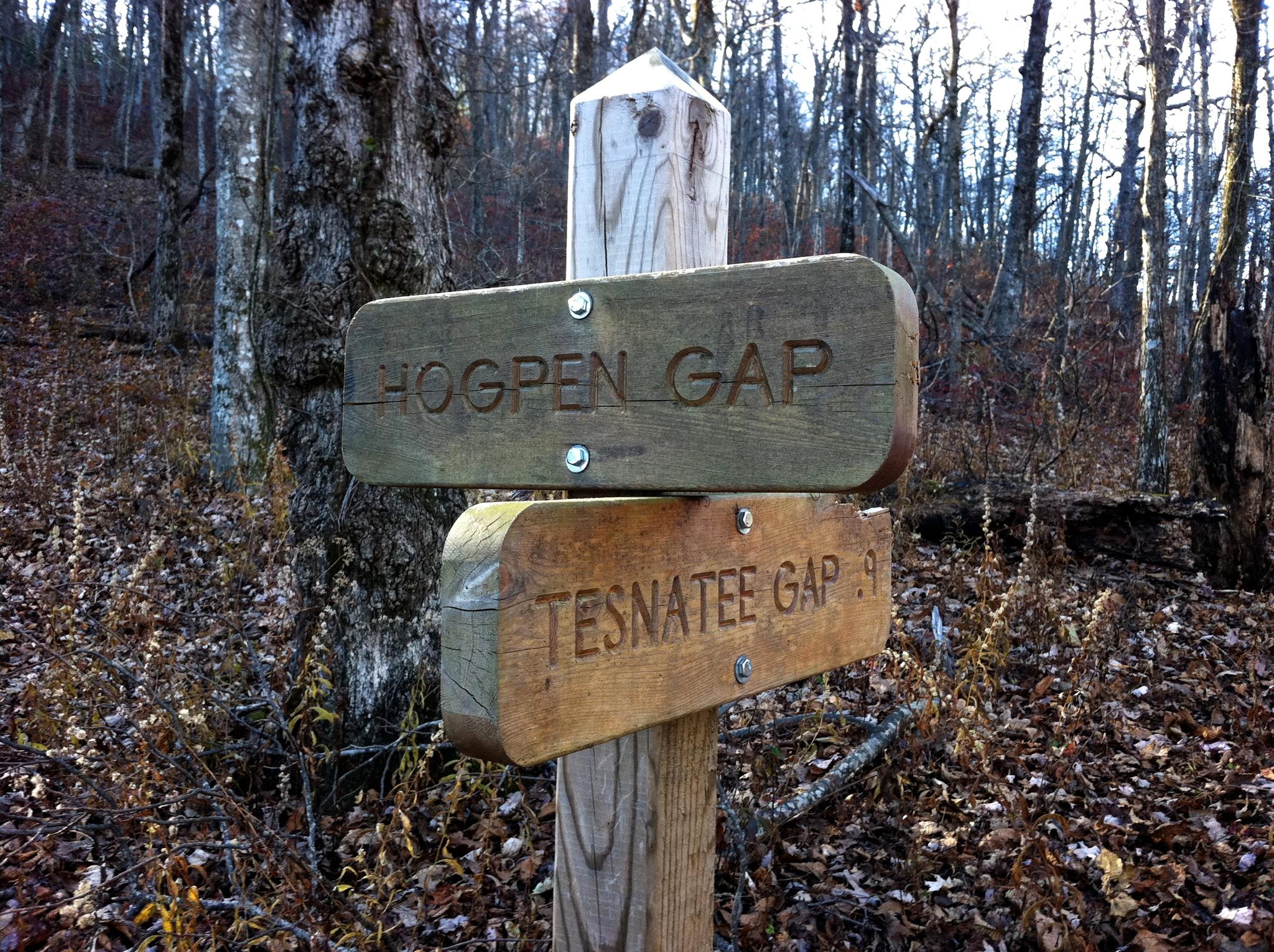 Close-up of a wooden trail sign in a forest with fallen leaves.