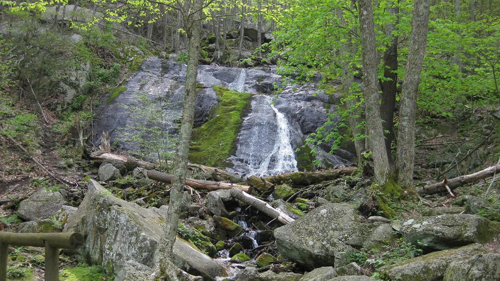 Waterfall cascades over mossy rocks in a lush, green forest with fallen logs.
