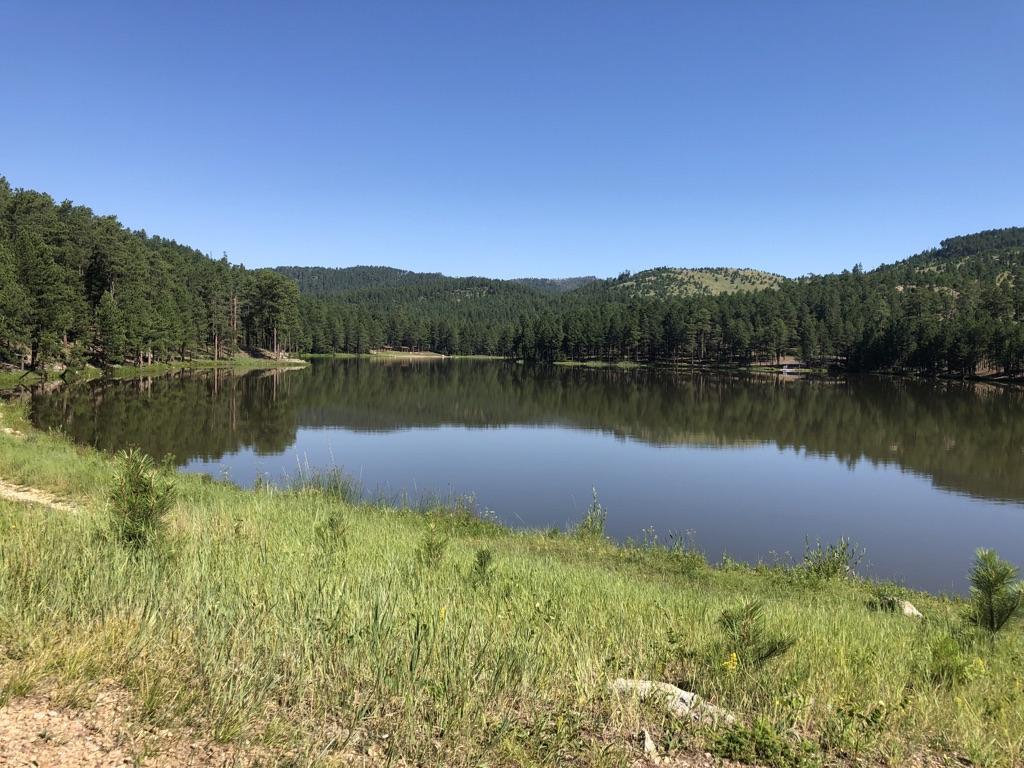Serene lake with reflections of green forest and hills on a sunny day.