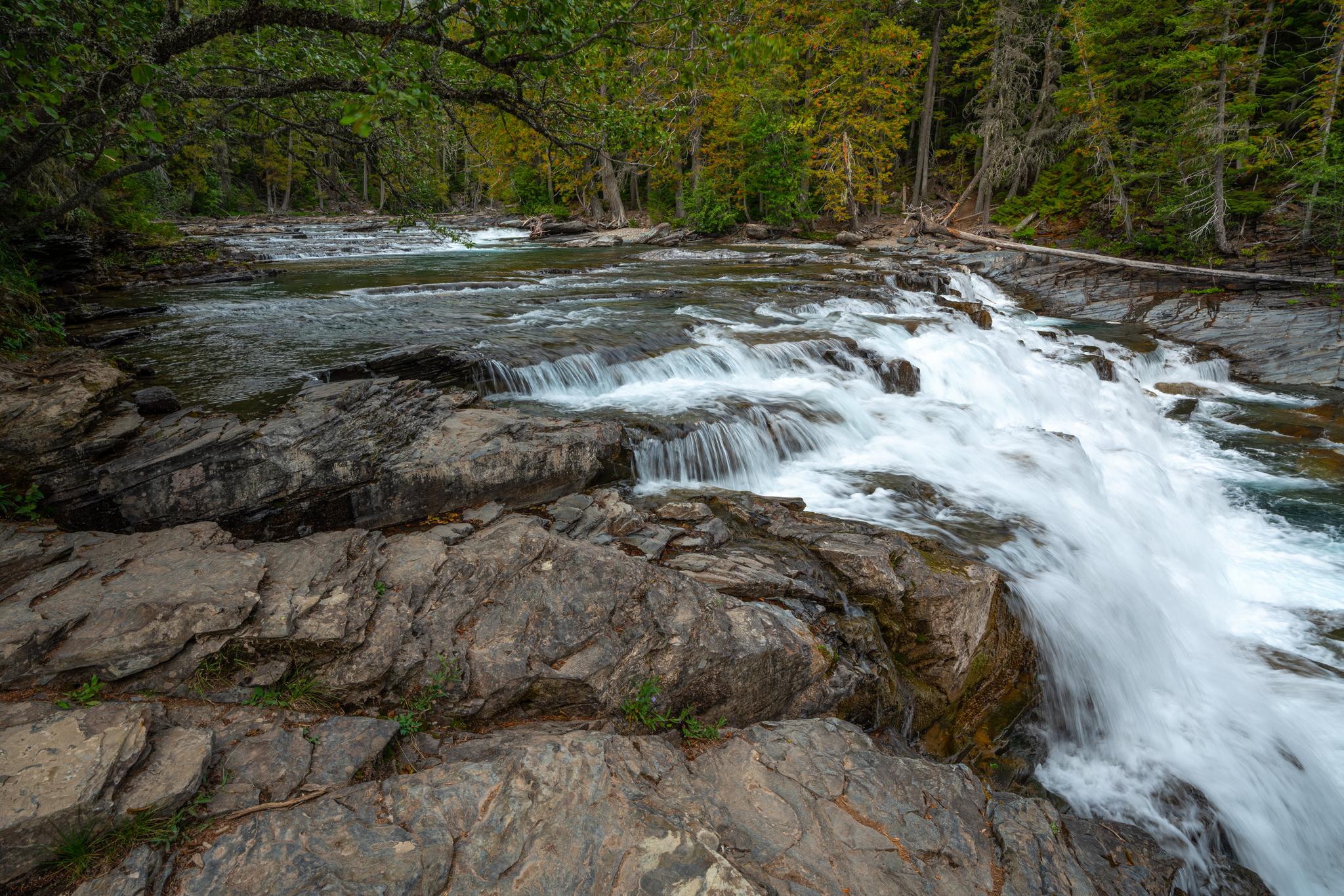 A wide river cascading over rocky ledges, surrounded by lush green forest.