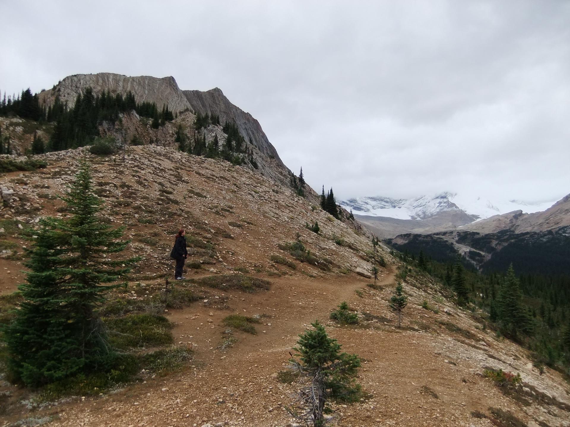 Hiker on a rocky mountain trail under an overcast sky, with distant snow-capped peaks.