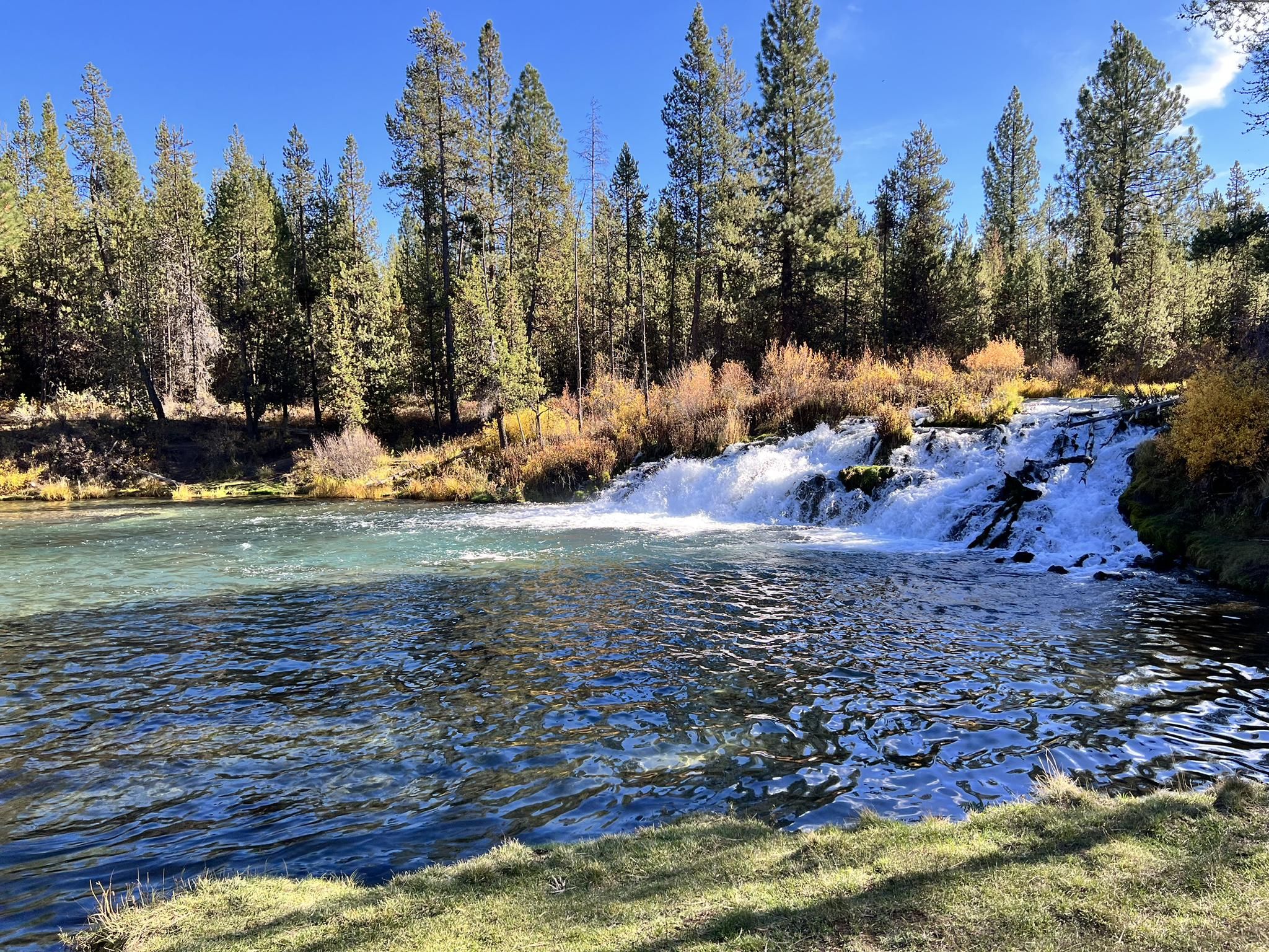 Bright sunny day with a clear river flowing into a waterfall. - Fall River and Deschutes Loop