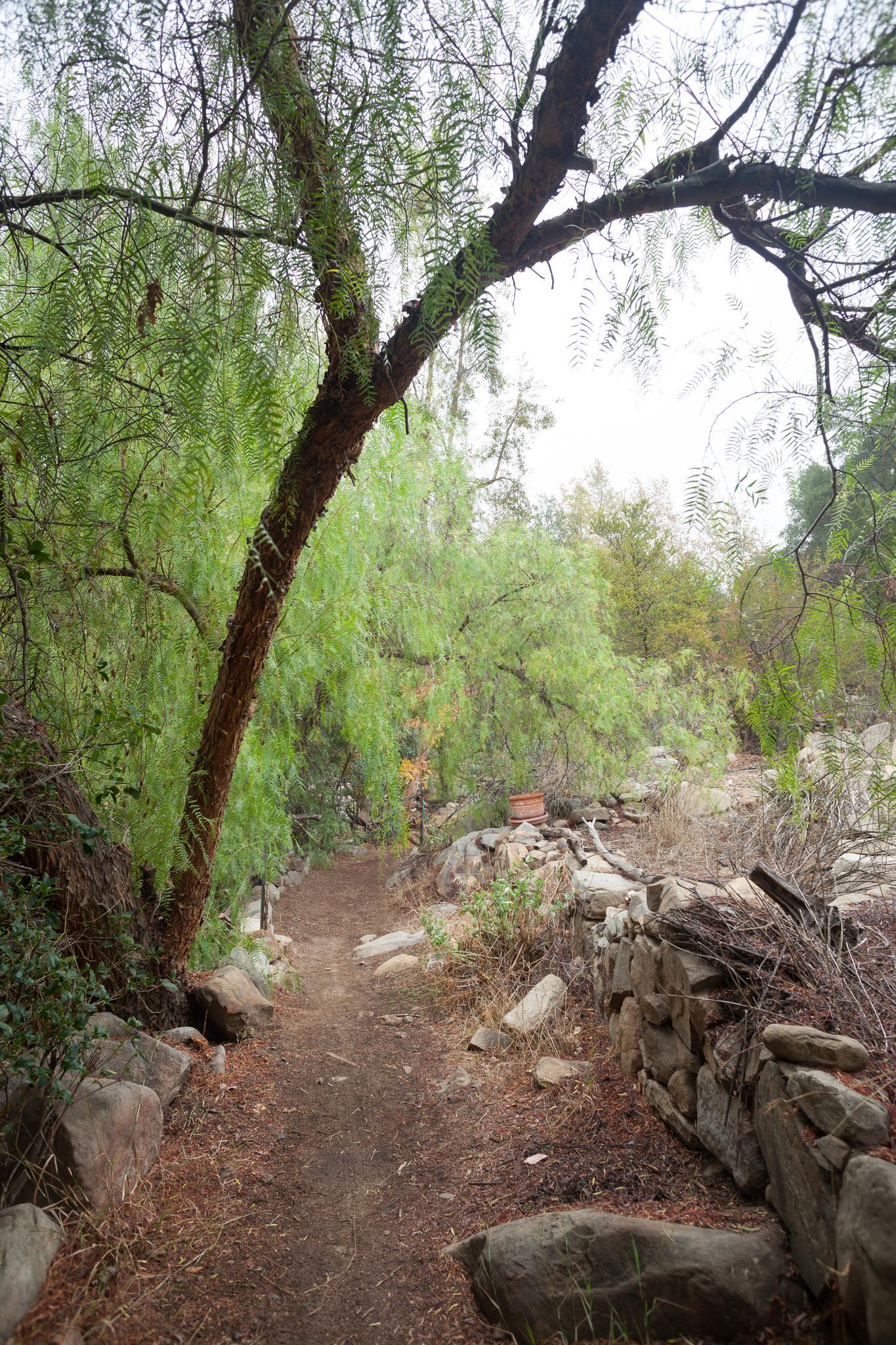 A dirt path winds through a green, wooded area with a stone wall.