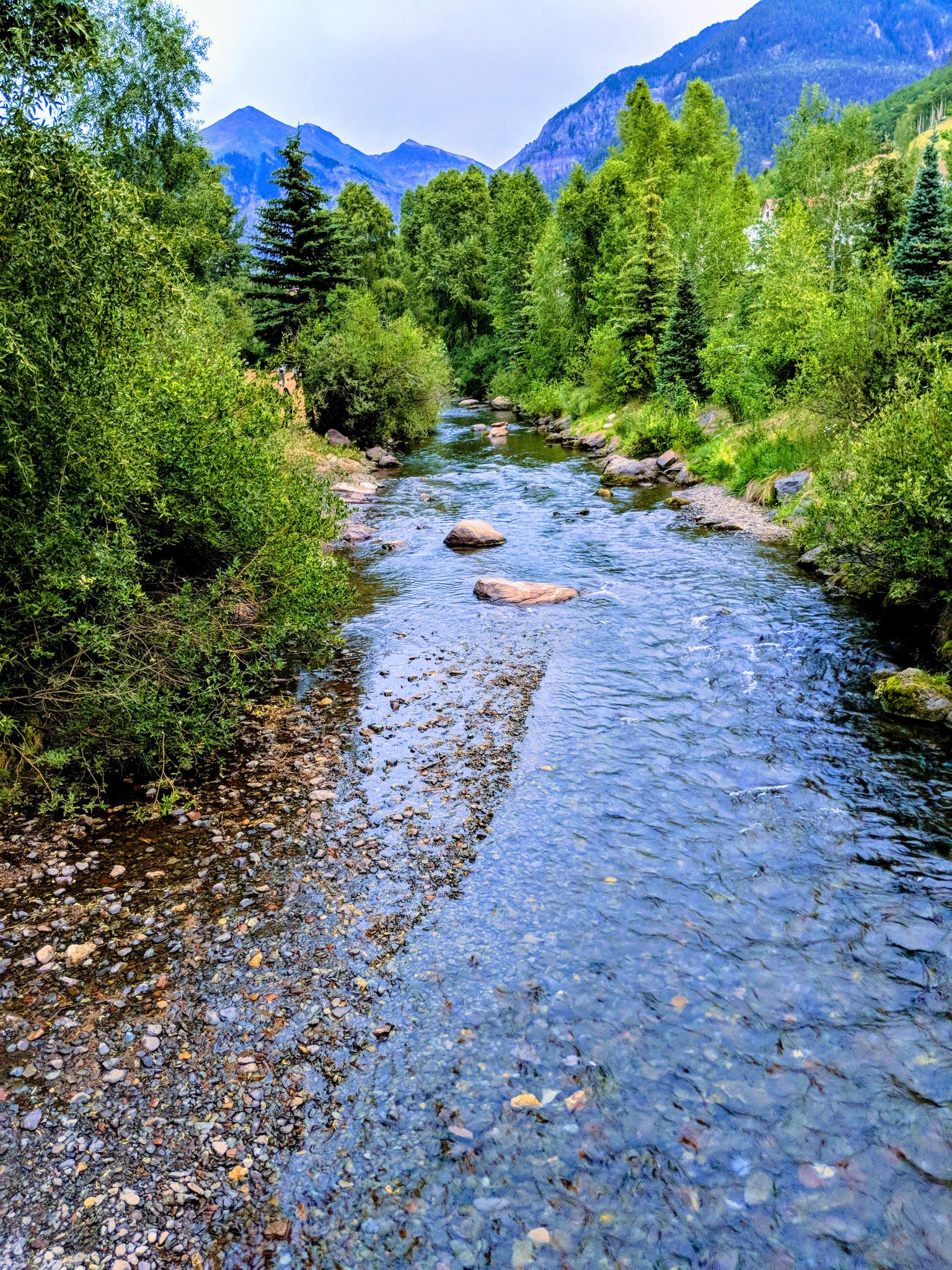 Clear mountain stream flowing through a lush green forest with distant peaks.