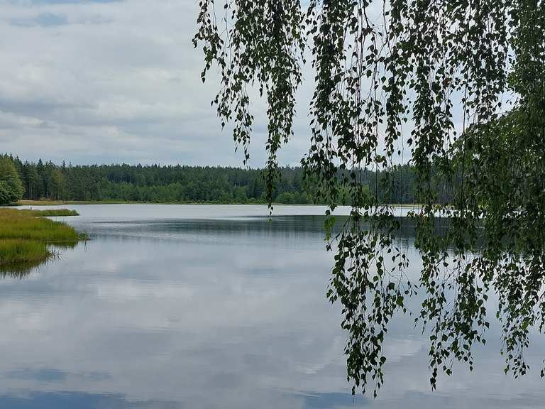 Breiter Teich Mountain Bike Trails & Tracks Komoot