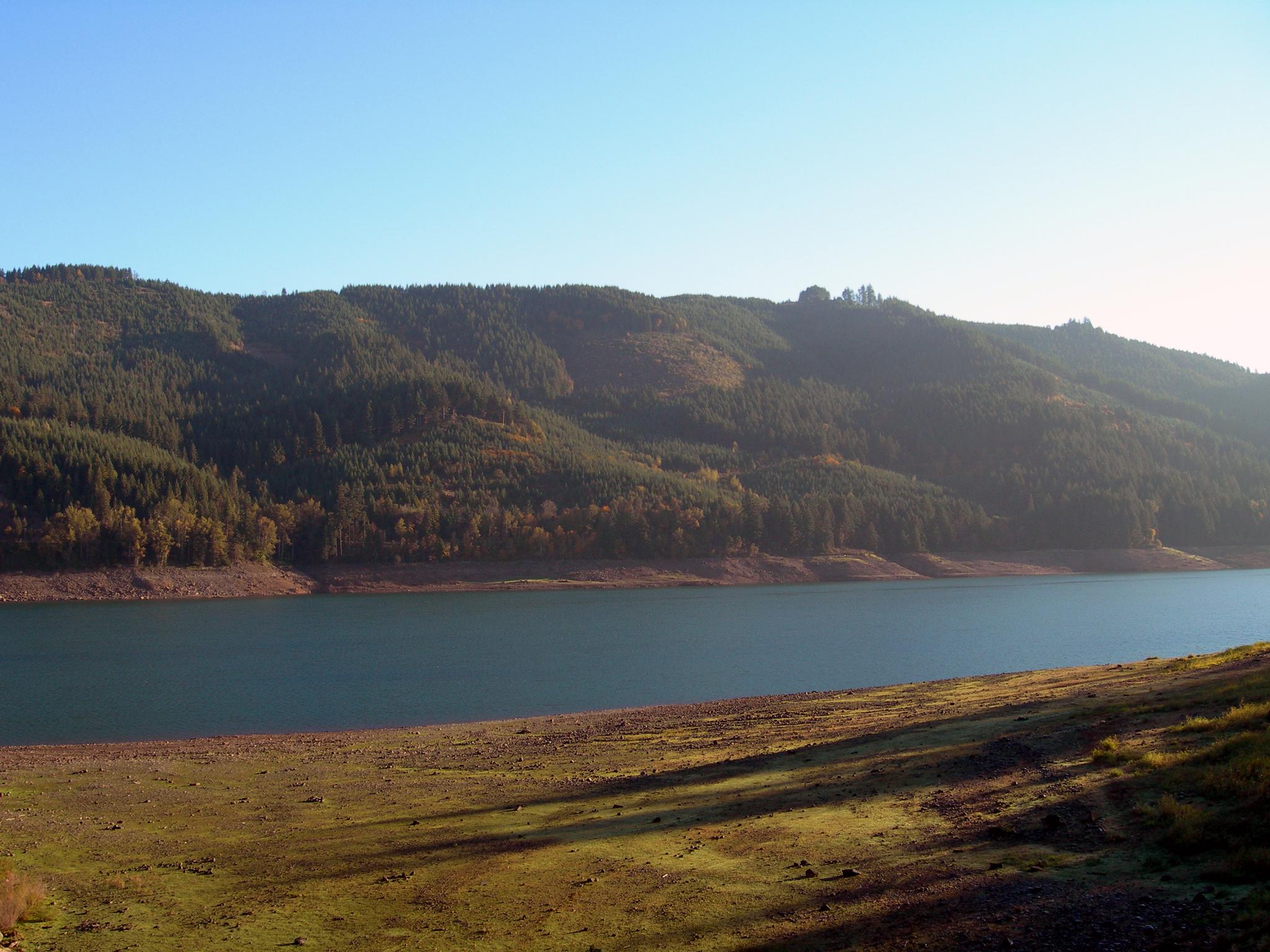 Sunny view of a wide lake bordered by forested hills and grassy shore.