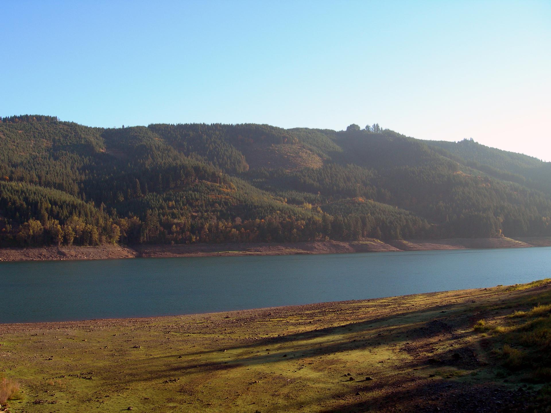 Sunny view of a wide lake bordered by forested hills and grassy shore.