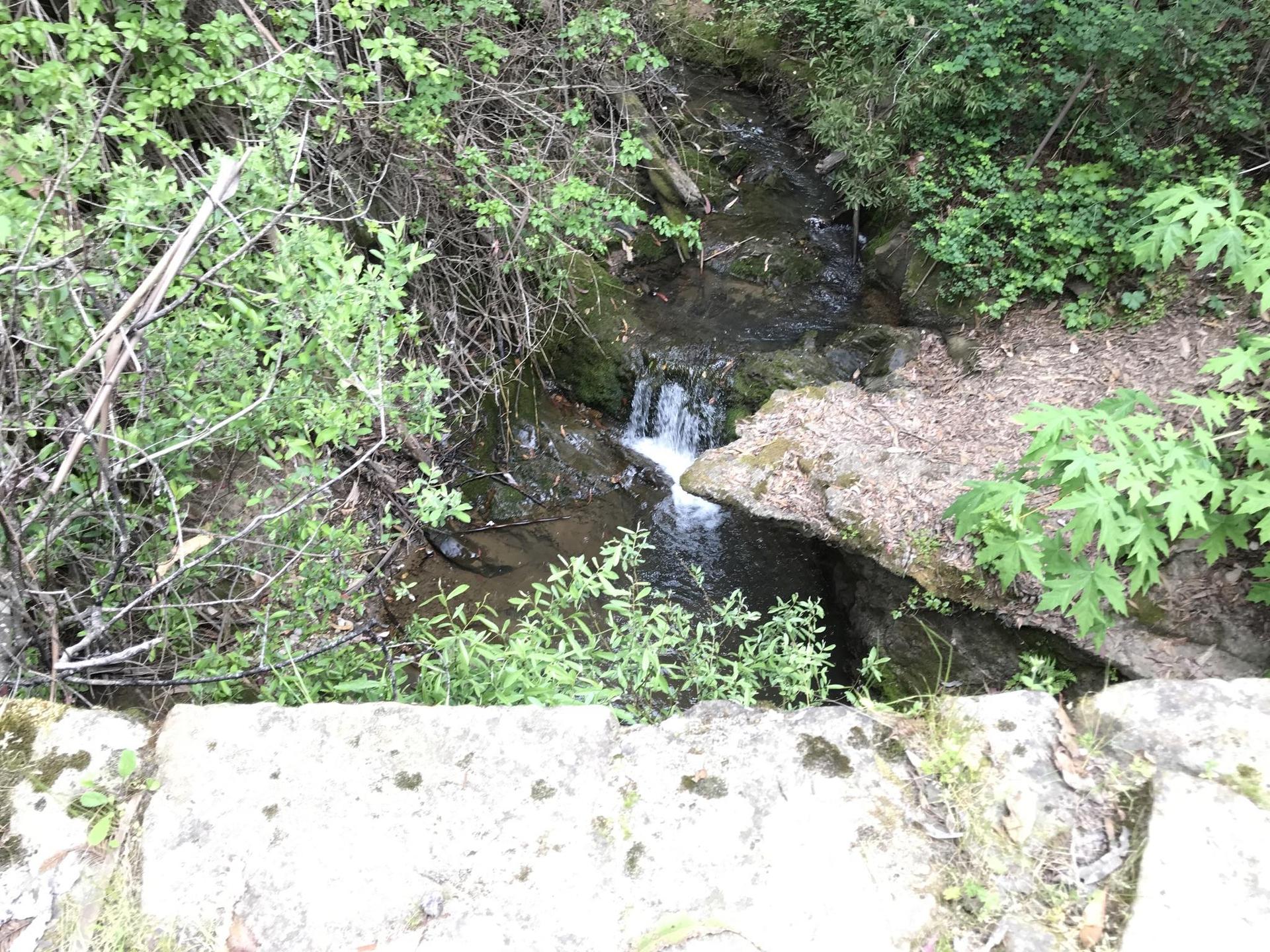 A small waterfall cascades into a rocky stream surrounded by green plants.