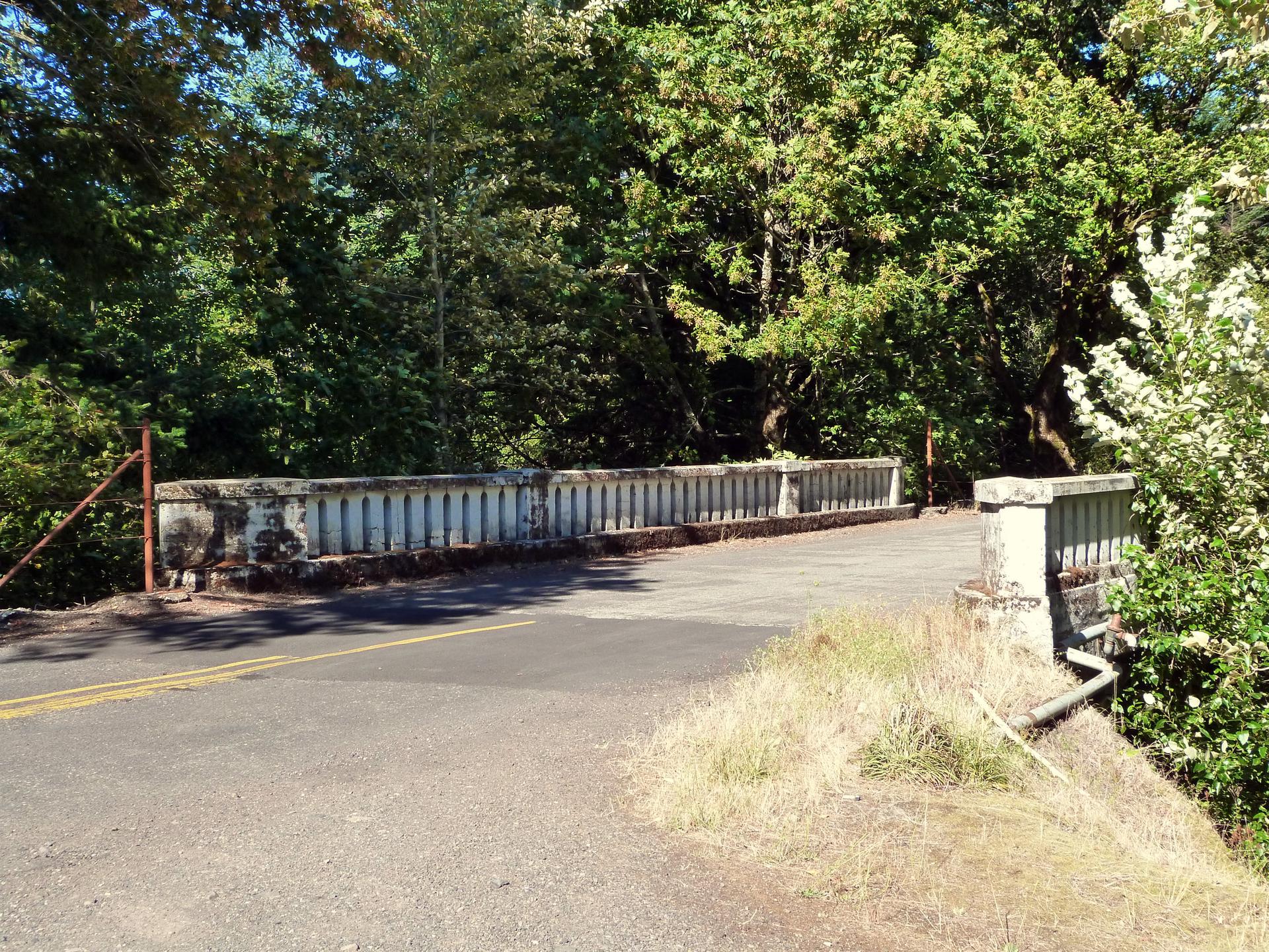 A paved road crosses an old concrete bridge surrounded by dense green trees.