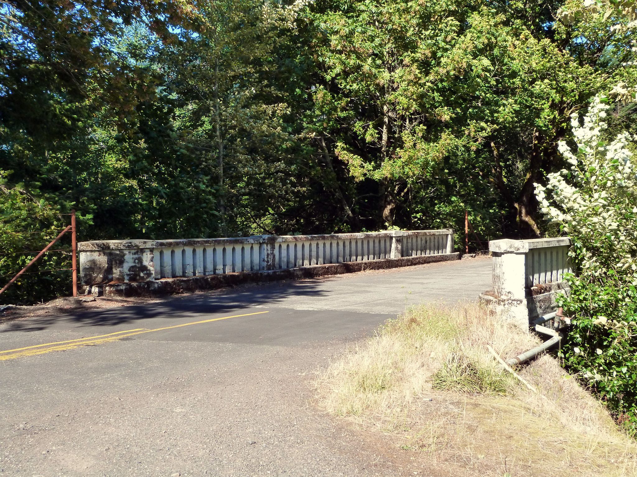 A paved road crosses an old concrete bridge surrounded by dense green trees. - Historic Columbia River Highway State Trail