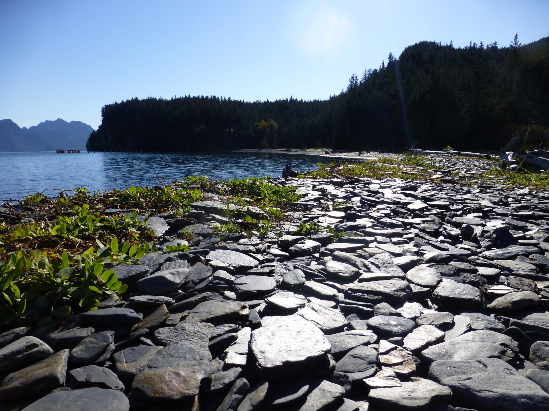 Flat rocks on a shore next to water, with forested hills under bright sun.