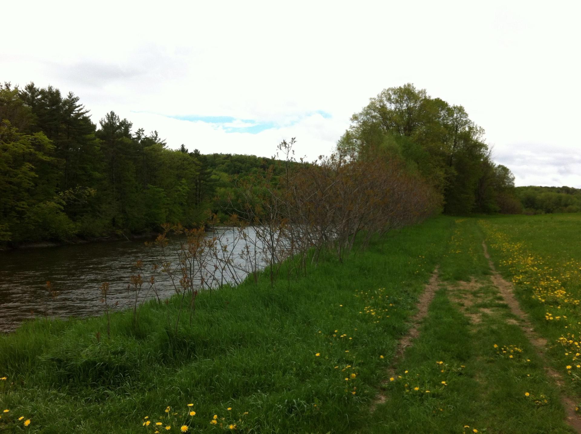 A river flows beside a grassy field with a dirt path under an overcast sky.