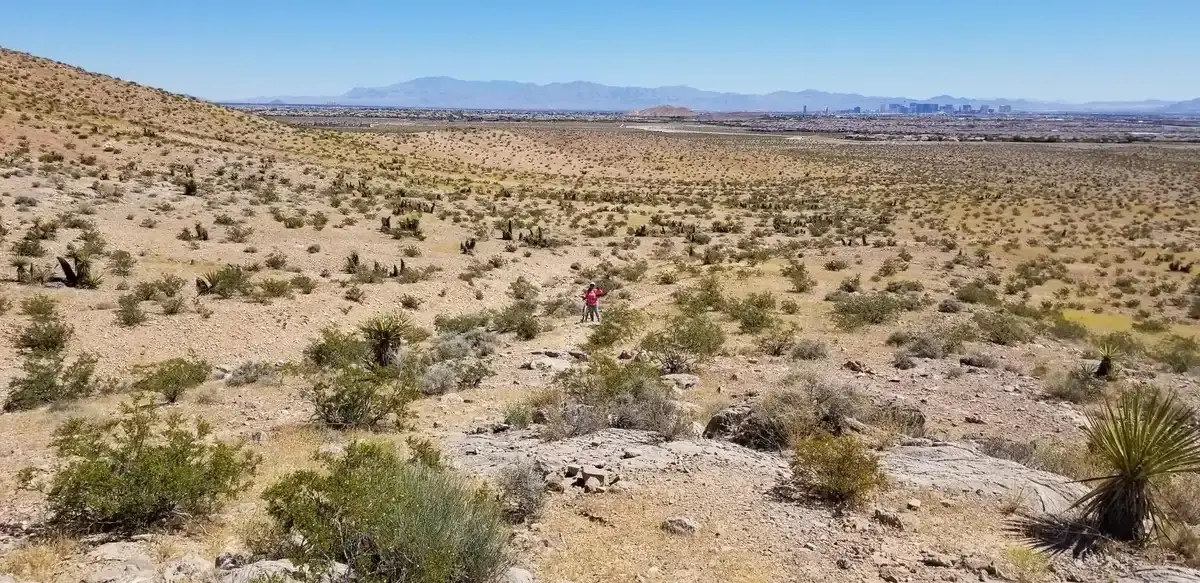 Sunny desert landscape with a person hiking among sparse bushes and distant mountains.
