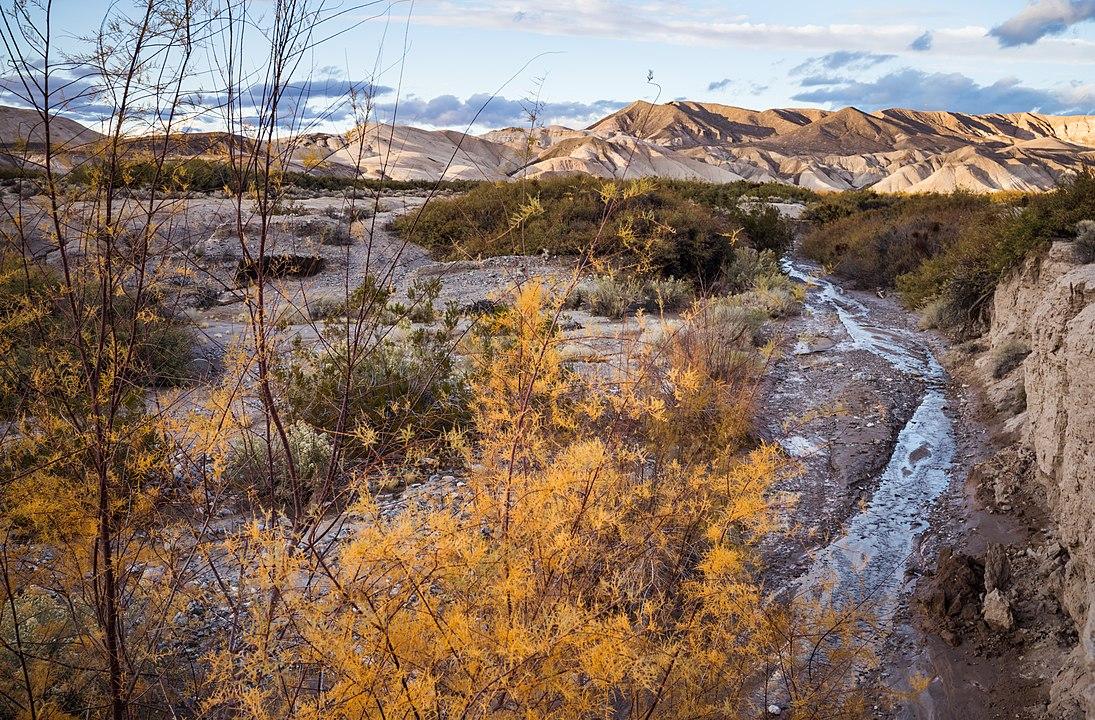 Desert stream winding through golden bushes with distant mountains.