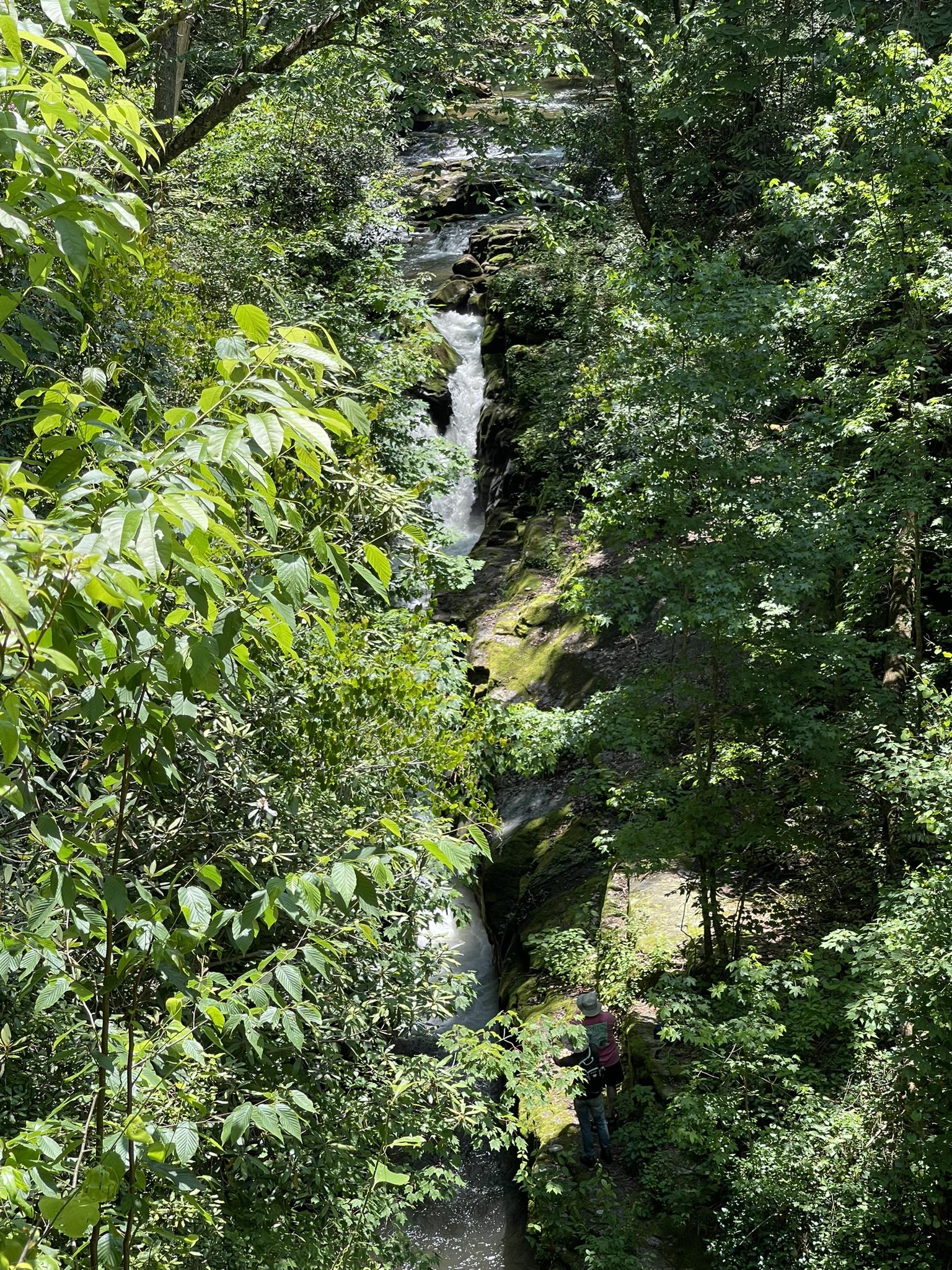 Person views a narrow waterfall cascading through a lush, green gorge.