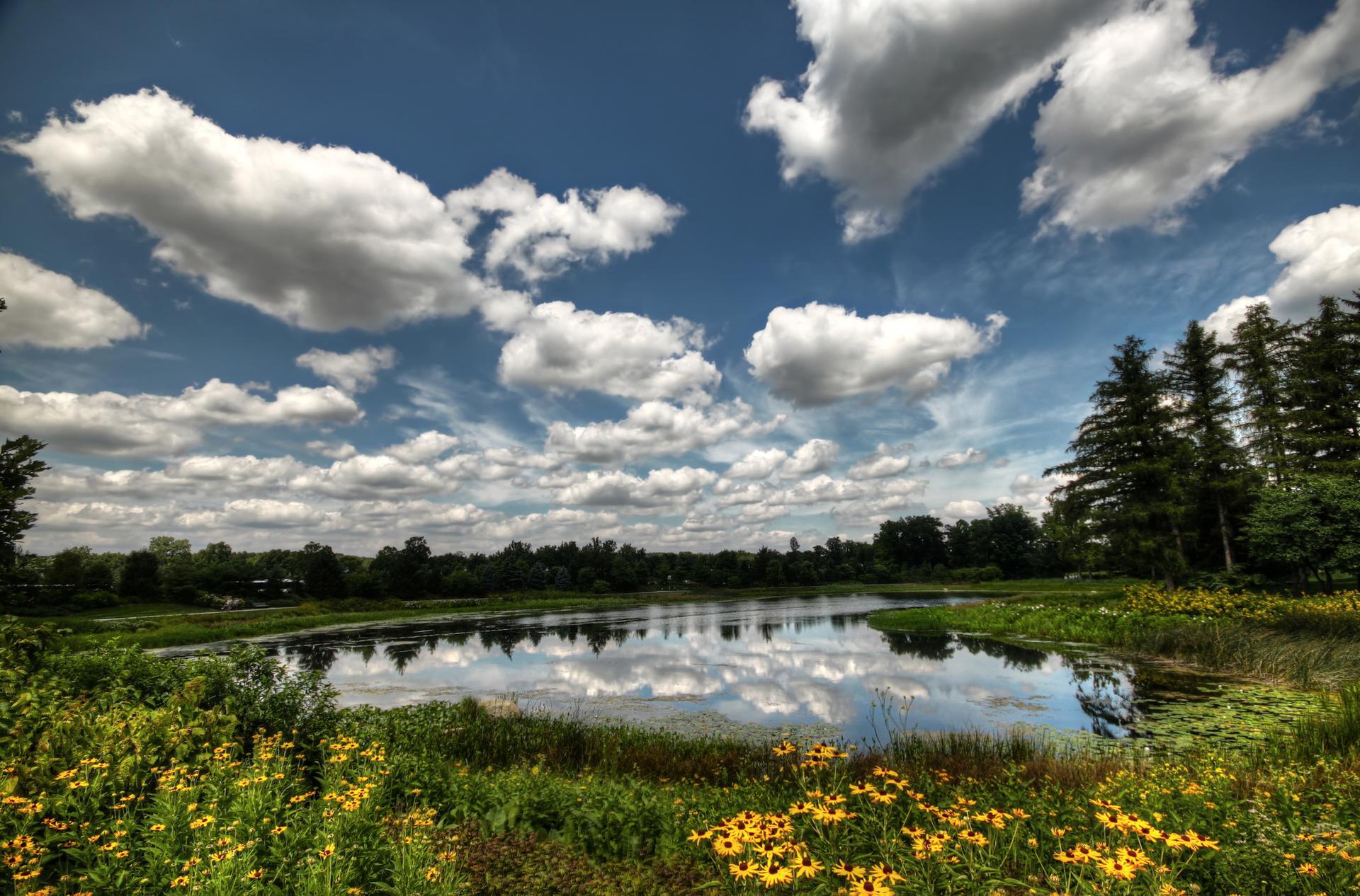 A wide lake reflects a dramatic cloudy sky, surrounded by wildflowers and trees.