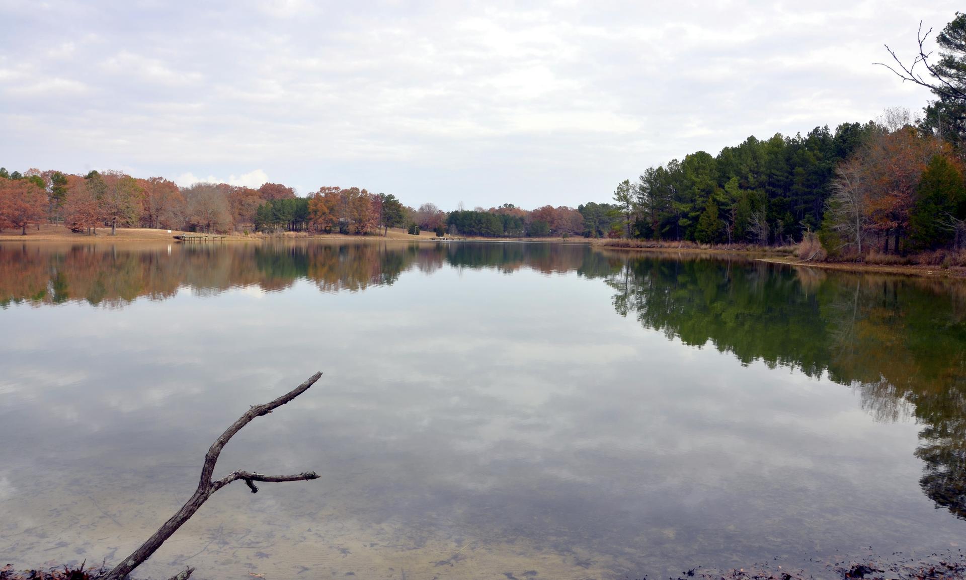 Serene lake reflecting cloudy sky and autumn trees, with a branch in the foreground.