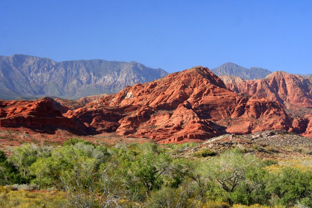 Vibrant red rock mountains and green trees under a clear blue sky. - Cottonwood Hills and Prospector Trail Loop