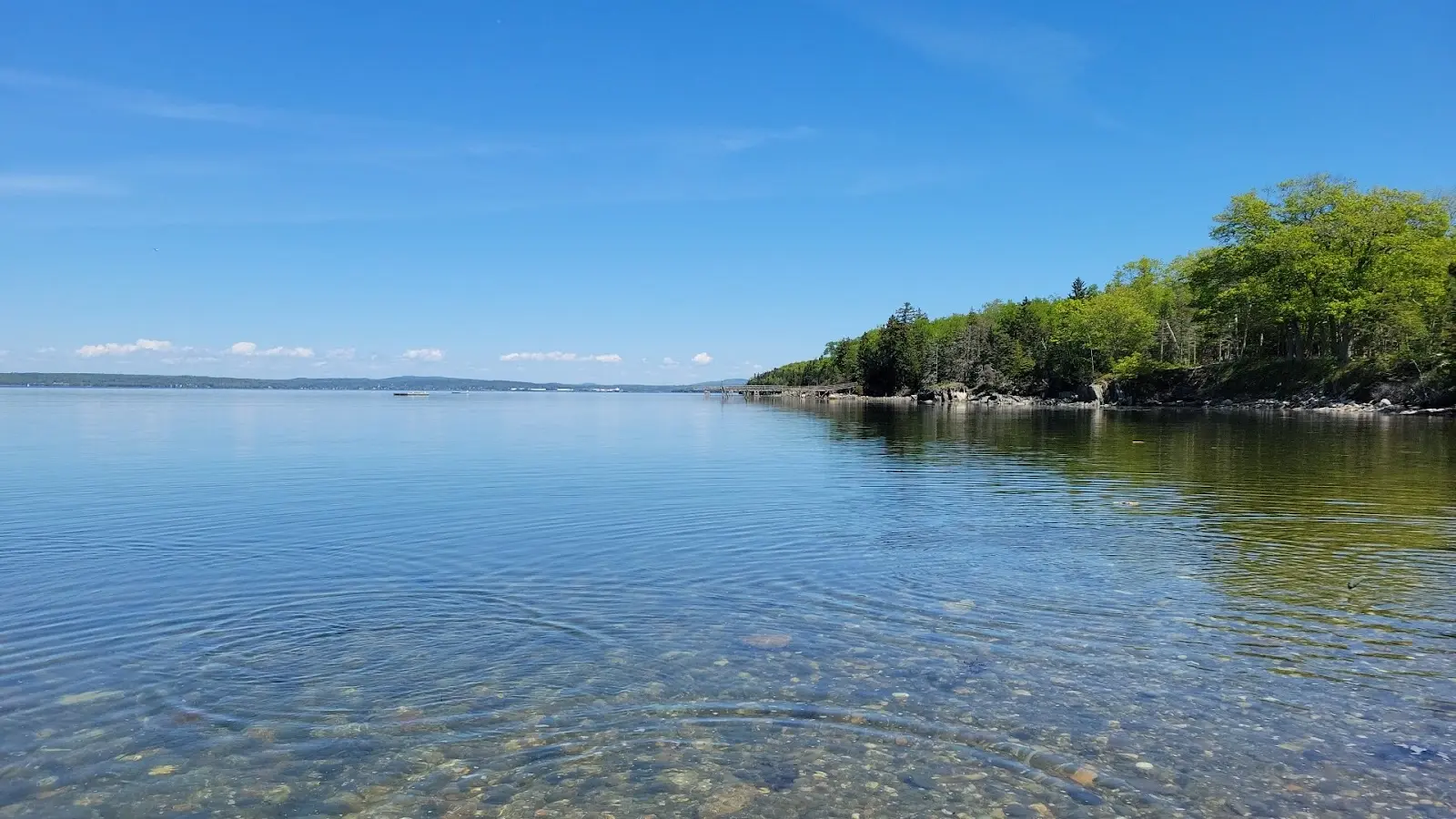 Clear, calm water with a rocky, tree-lined shore under a blue sky.