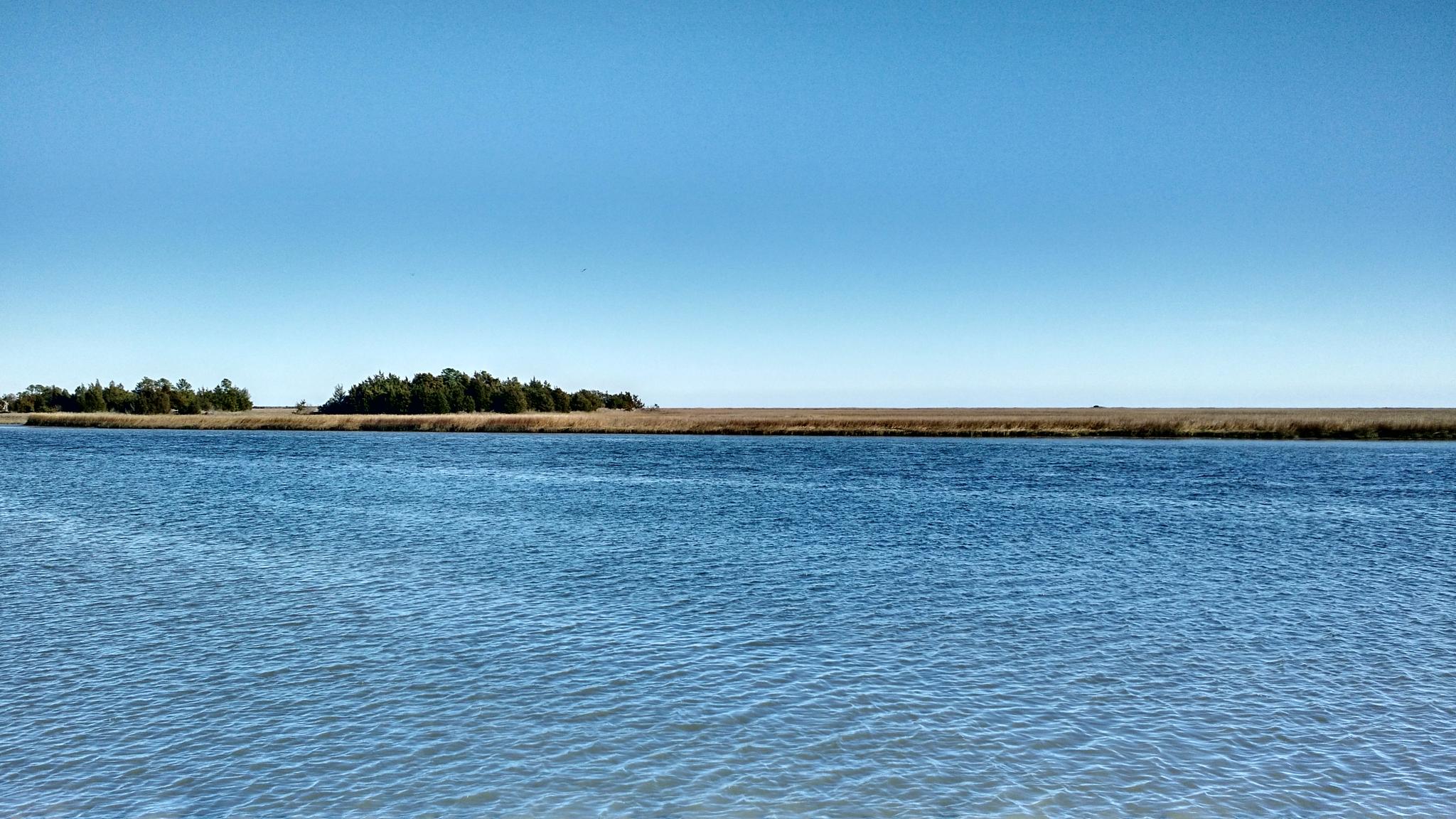 Calm blue water with a distant treeline under a clear, bright sky.