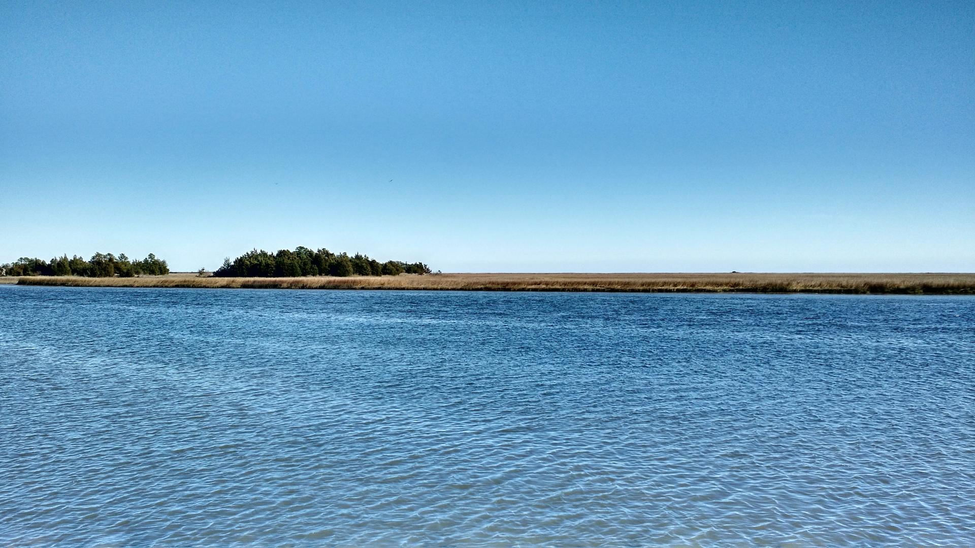 Calm blue water with a distant treeline under a clear, bright sky.
