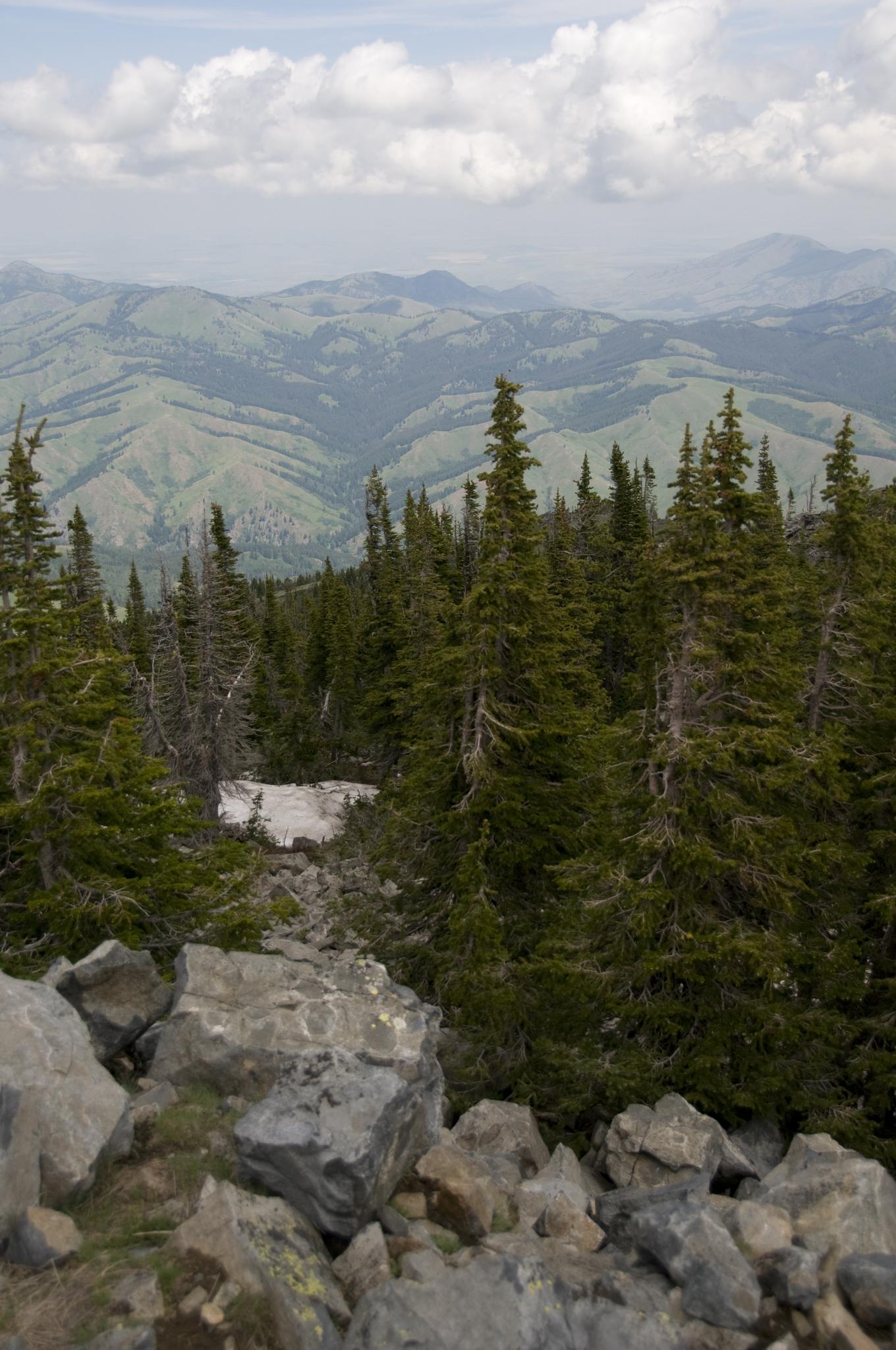Rocky foreground with dense evergreen forest overlooking distant rolling mountains under cloudy sky.