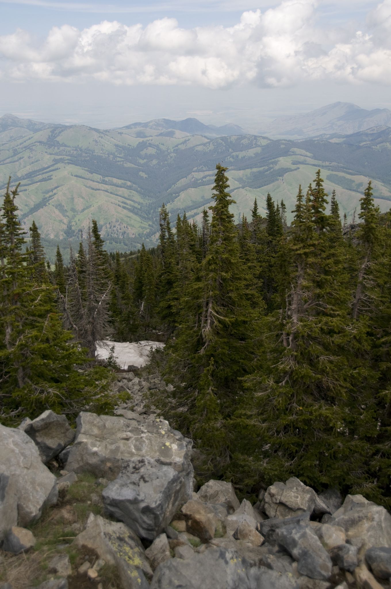 Rocky foreground with dense evergreen forest overlooking distant rolling mountains under cloudy sky. - Road to Highwood Baldy