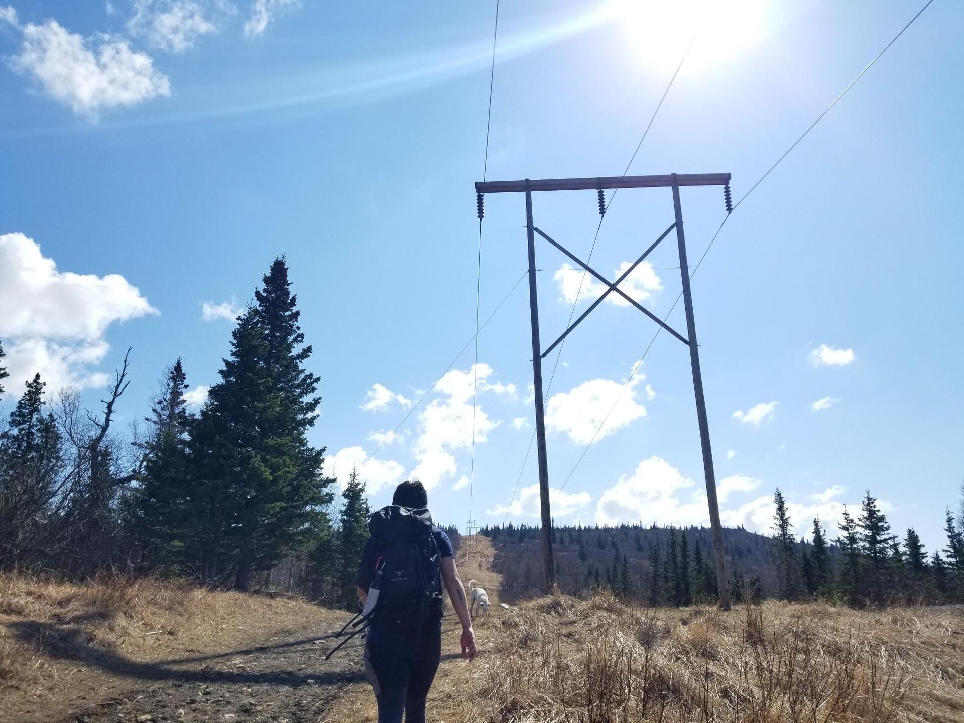A person hikes a sunny trail beneath a large power line structure.
