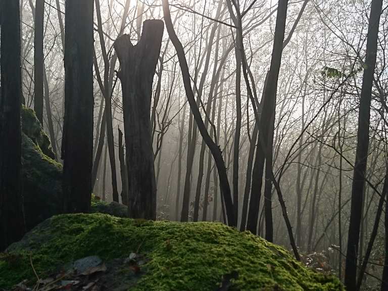 Euganean Hills trail to Rocca di Monte Pendice | Wanderung | Komoot