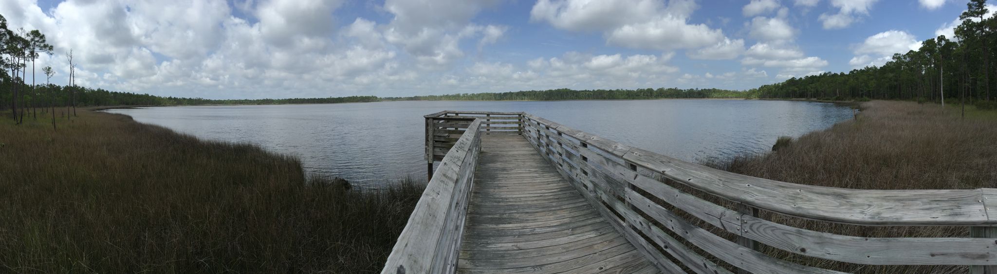 Wooden pier extends into a calm lake under a partly cloudy sky. - Perdido Bayou Trail loop