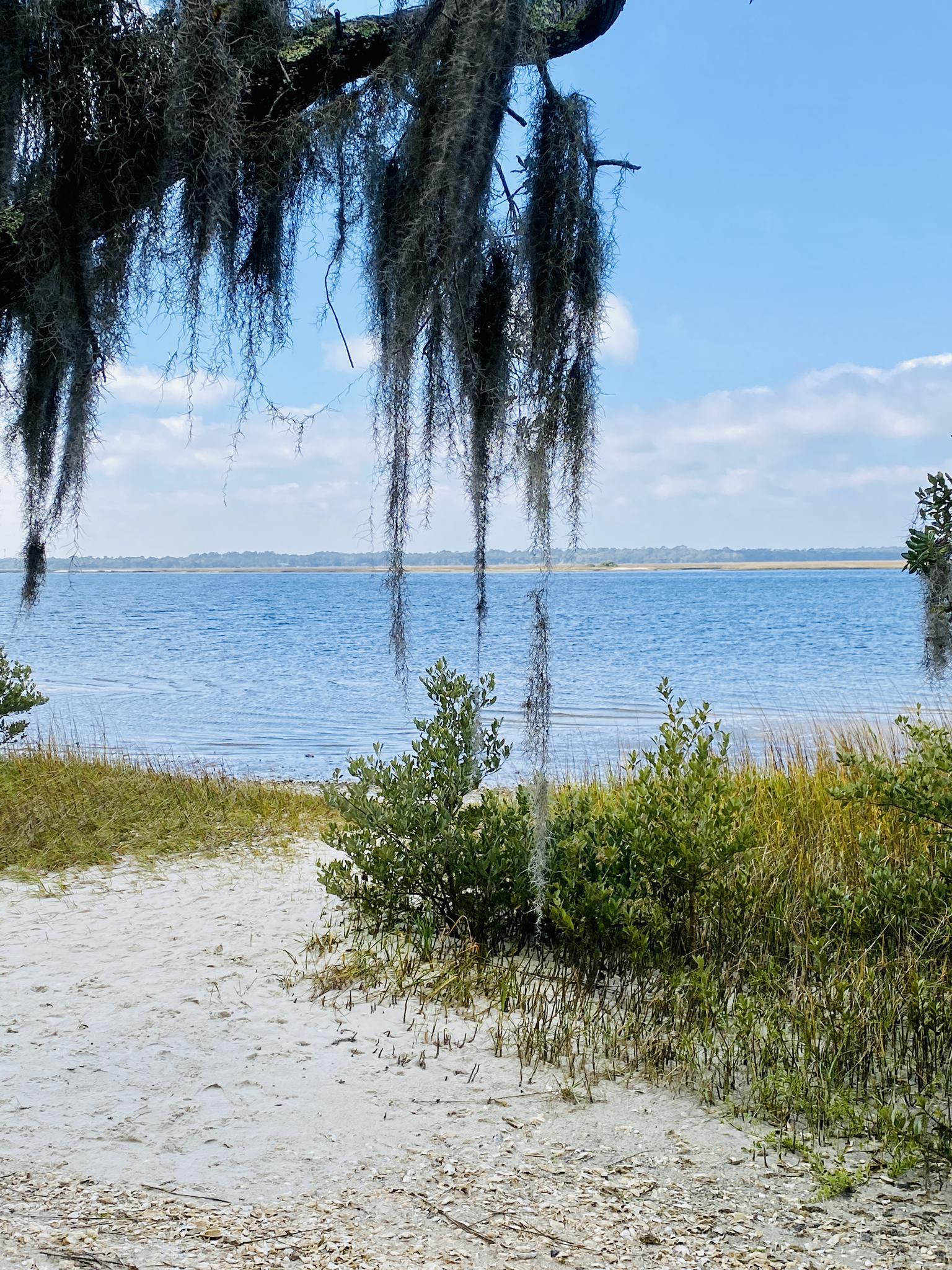 Blue water body with sandy shore, green bushes, and Spanish moss overhead.