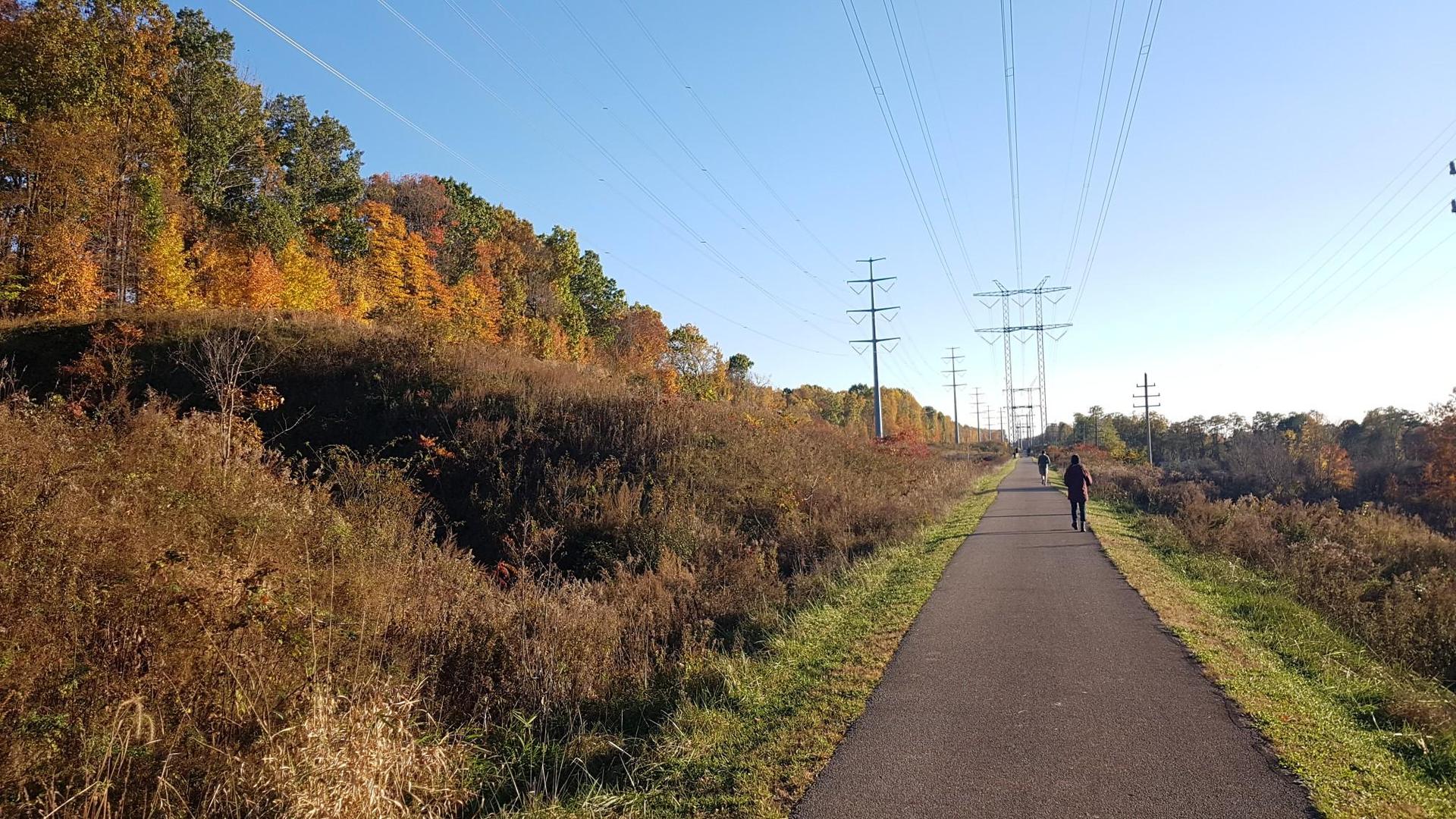 A person walks on a paved path beside autumn trees and power lines on a bright day.