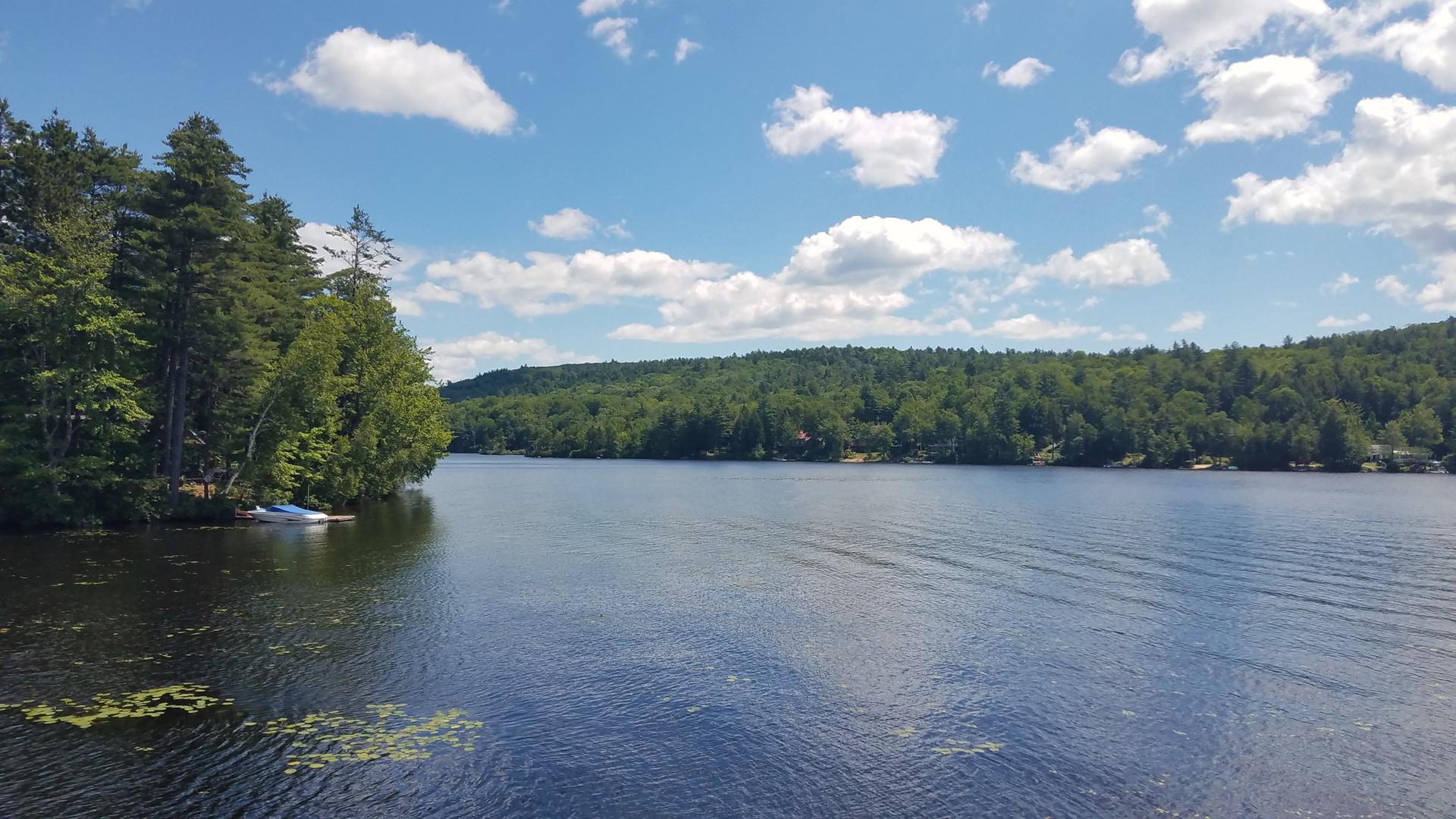 A wide lake with forested shores under a bright, cloudy sky.