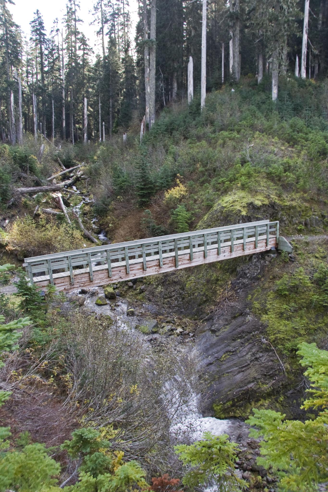 Wooden bridge spans a rocky stream in a dense, green forest.