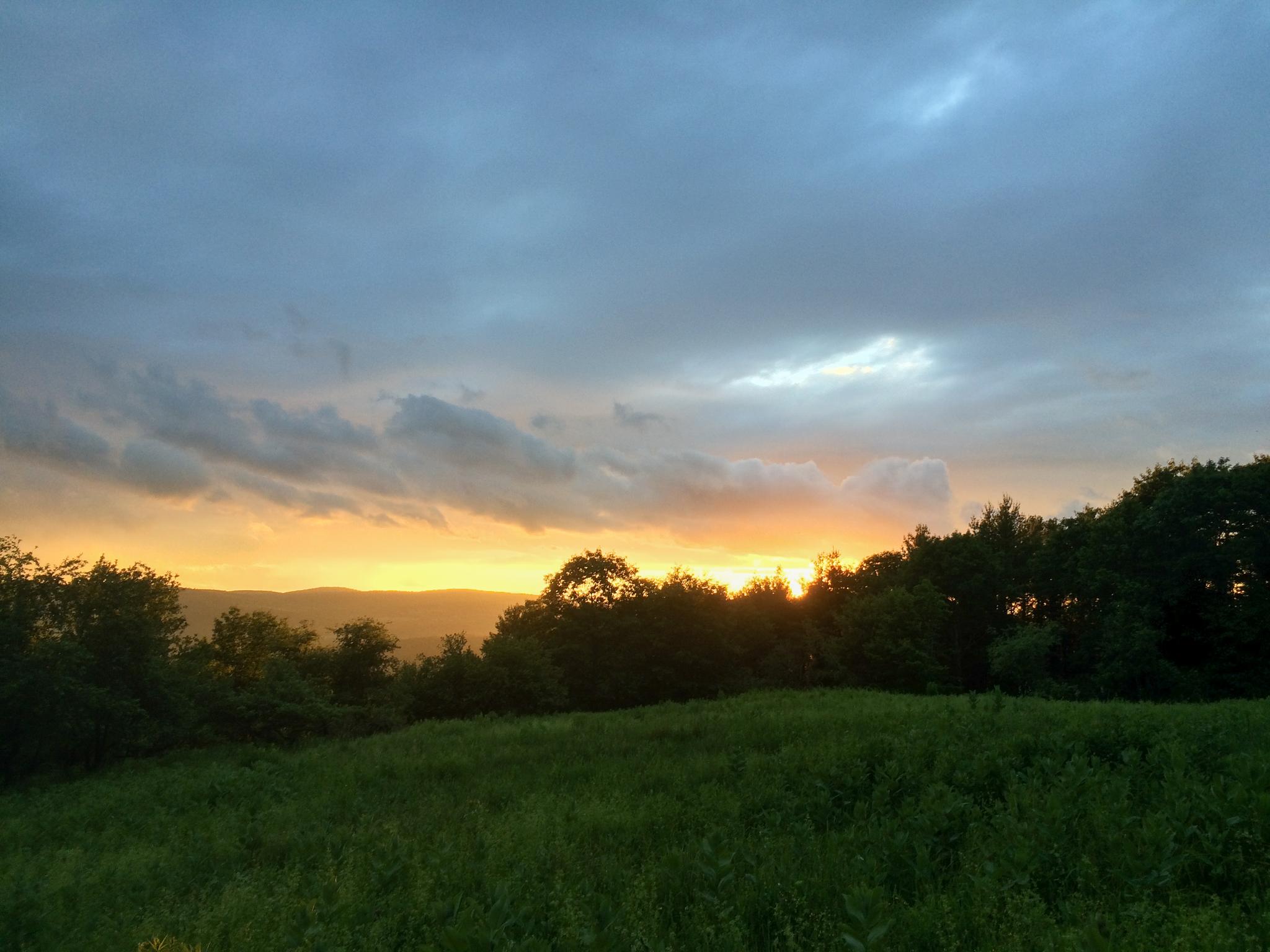 Sunset over a green field and dark trees with a cloudy, orange sky.