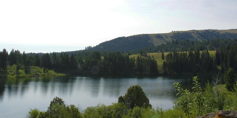 Serene lake surrounded by dense green forest and hills under a bright sky.