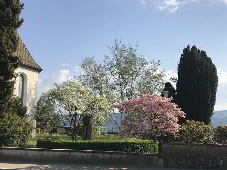 Kirche Oberrieden Wanderungen und Rundwege komoot